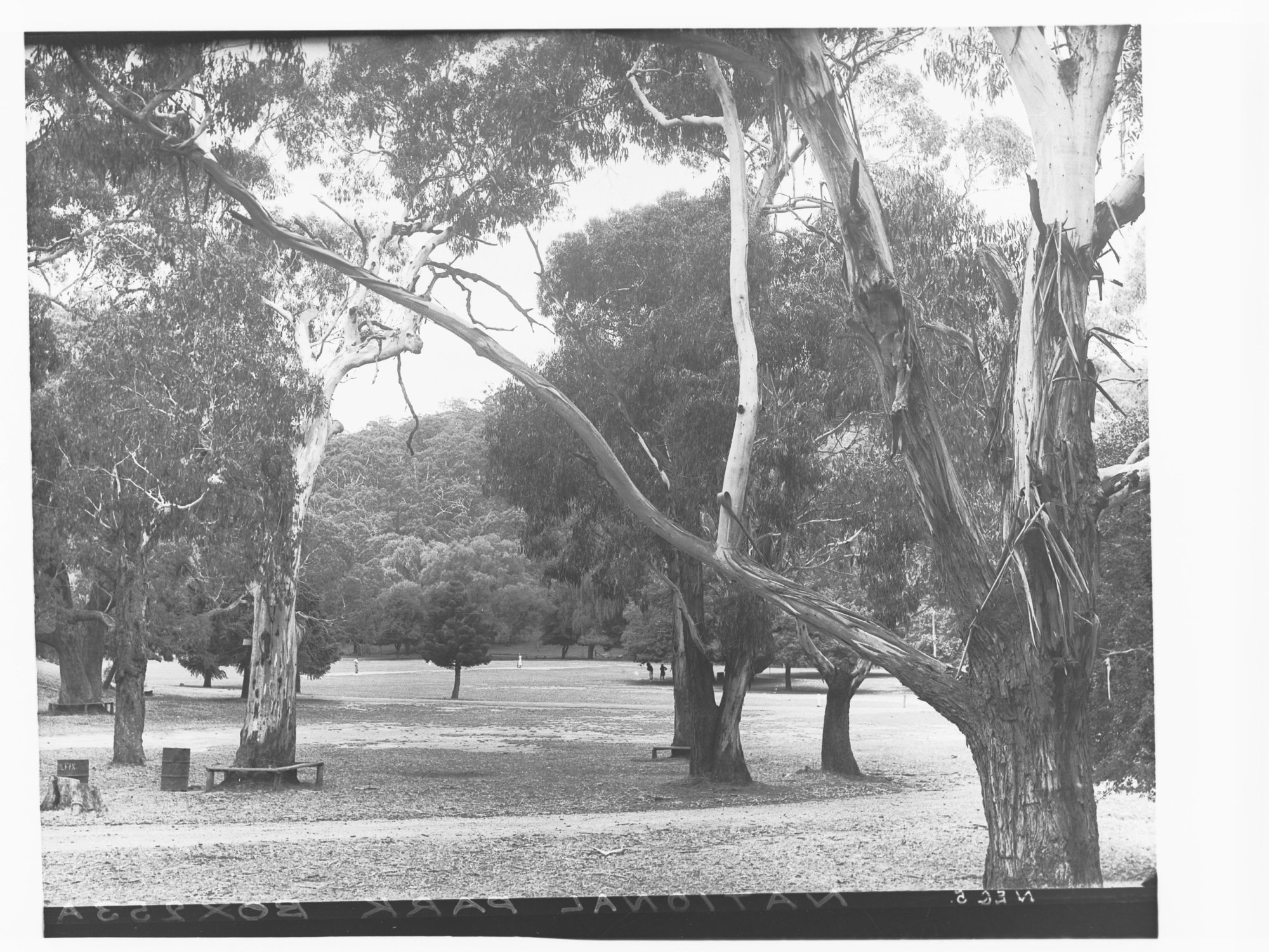 Belair National Park