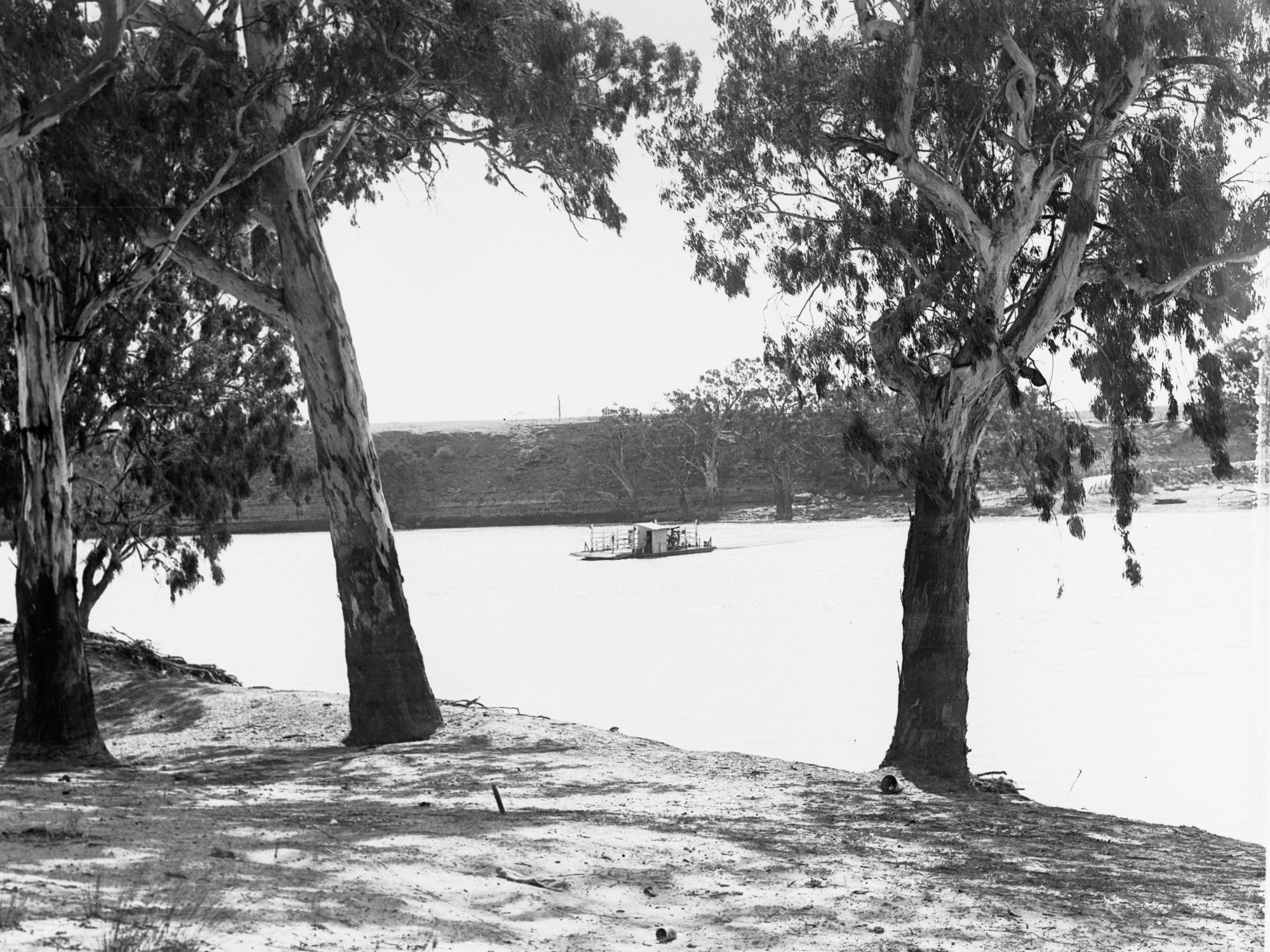 River Murray Cadell Punt Crossing