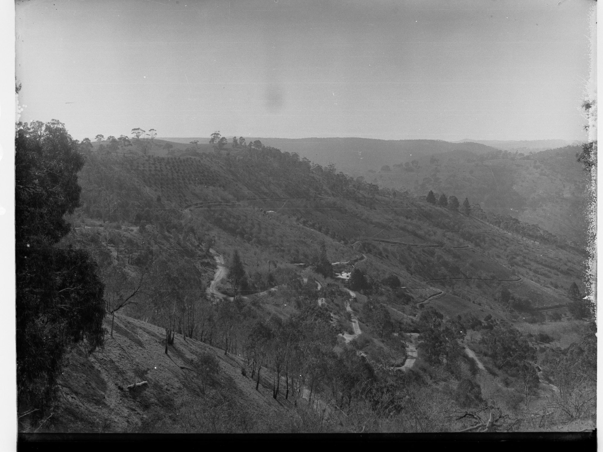 Corkscrew Road at Montacute
