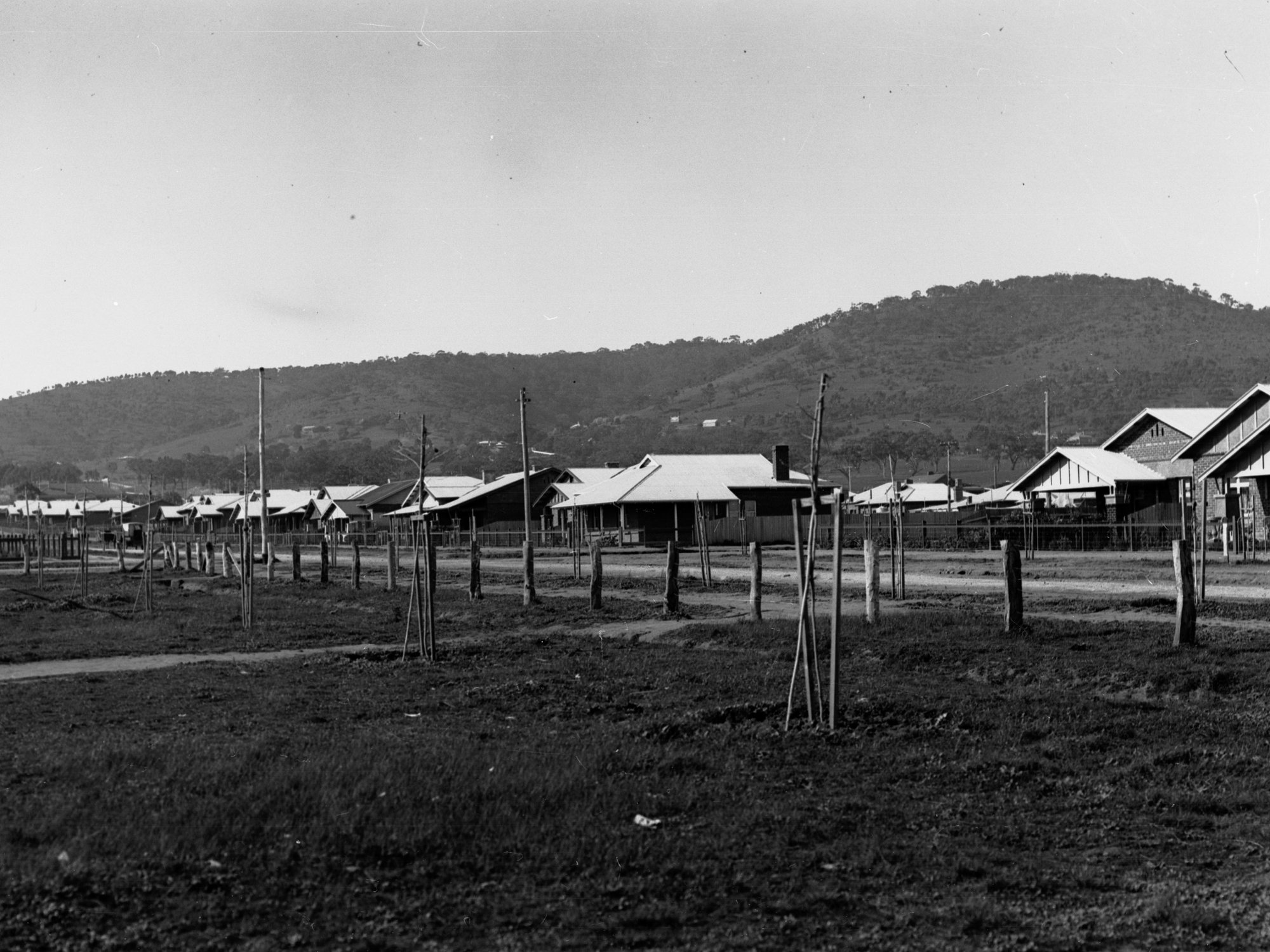 Houses at Colonel Light Gardens
