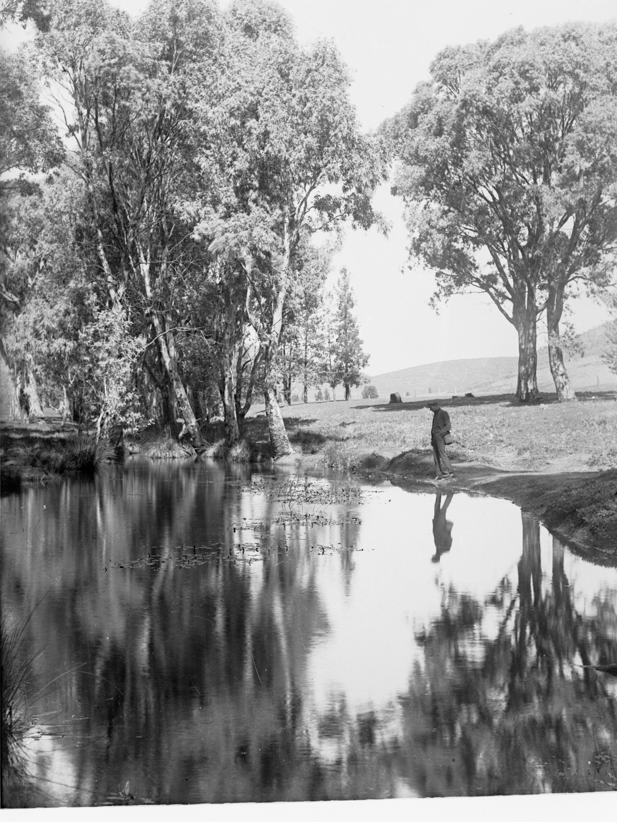 Flinders Ranges, Wilpena Creek