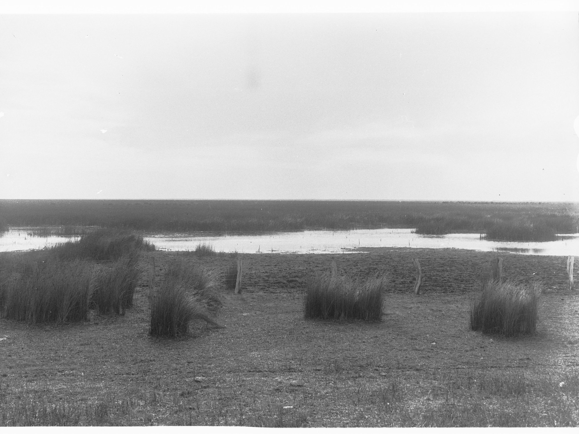 South Eastern Drainage