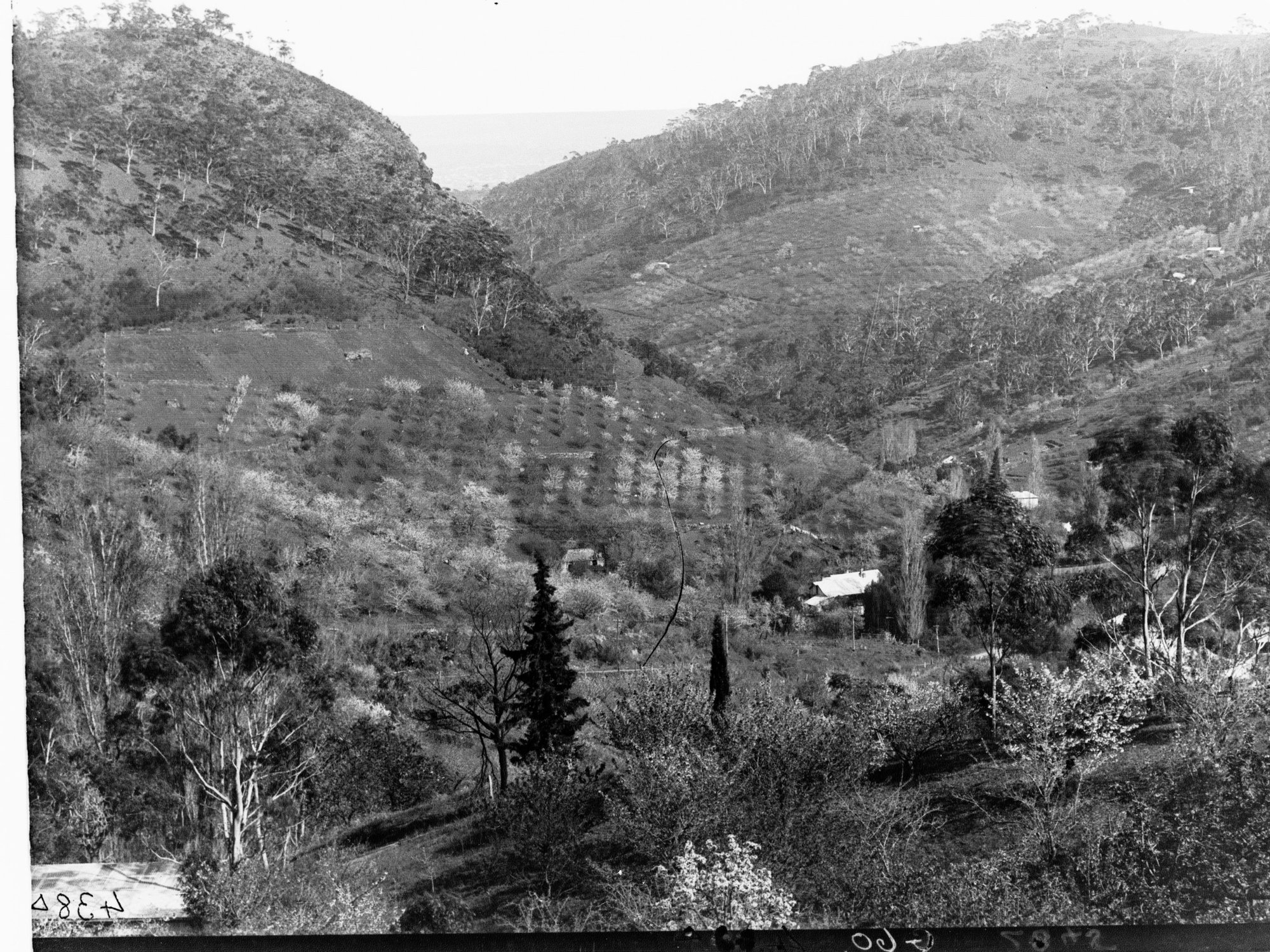 Mount Lofty Ranges View at Norton Summit