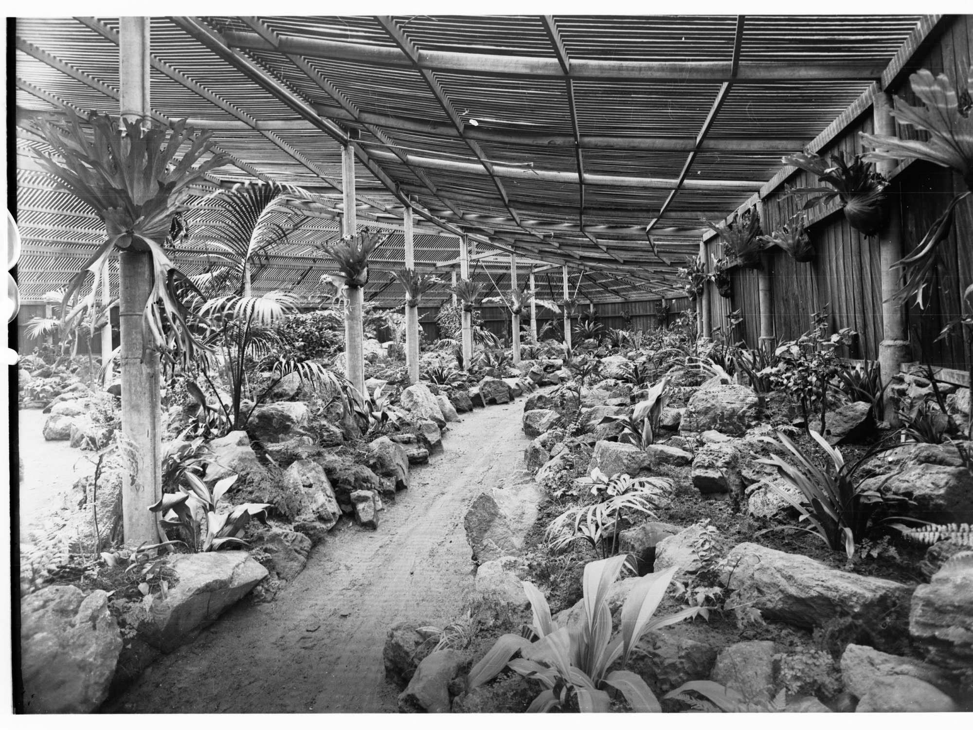 Hot House, Botanic Gardens