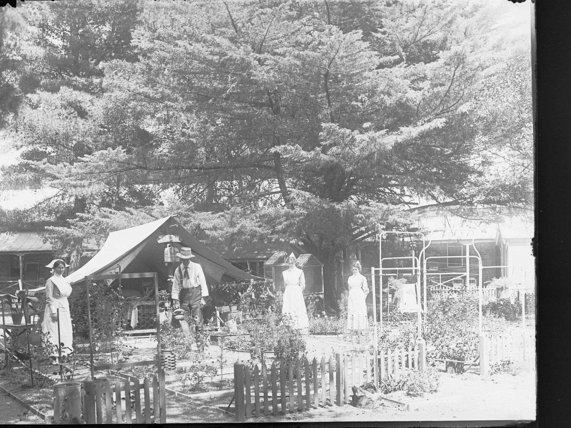 Adelaide Hospital Cancer Block and Consumptive Home 