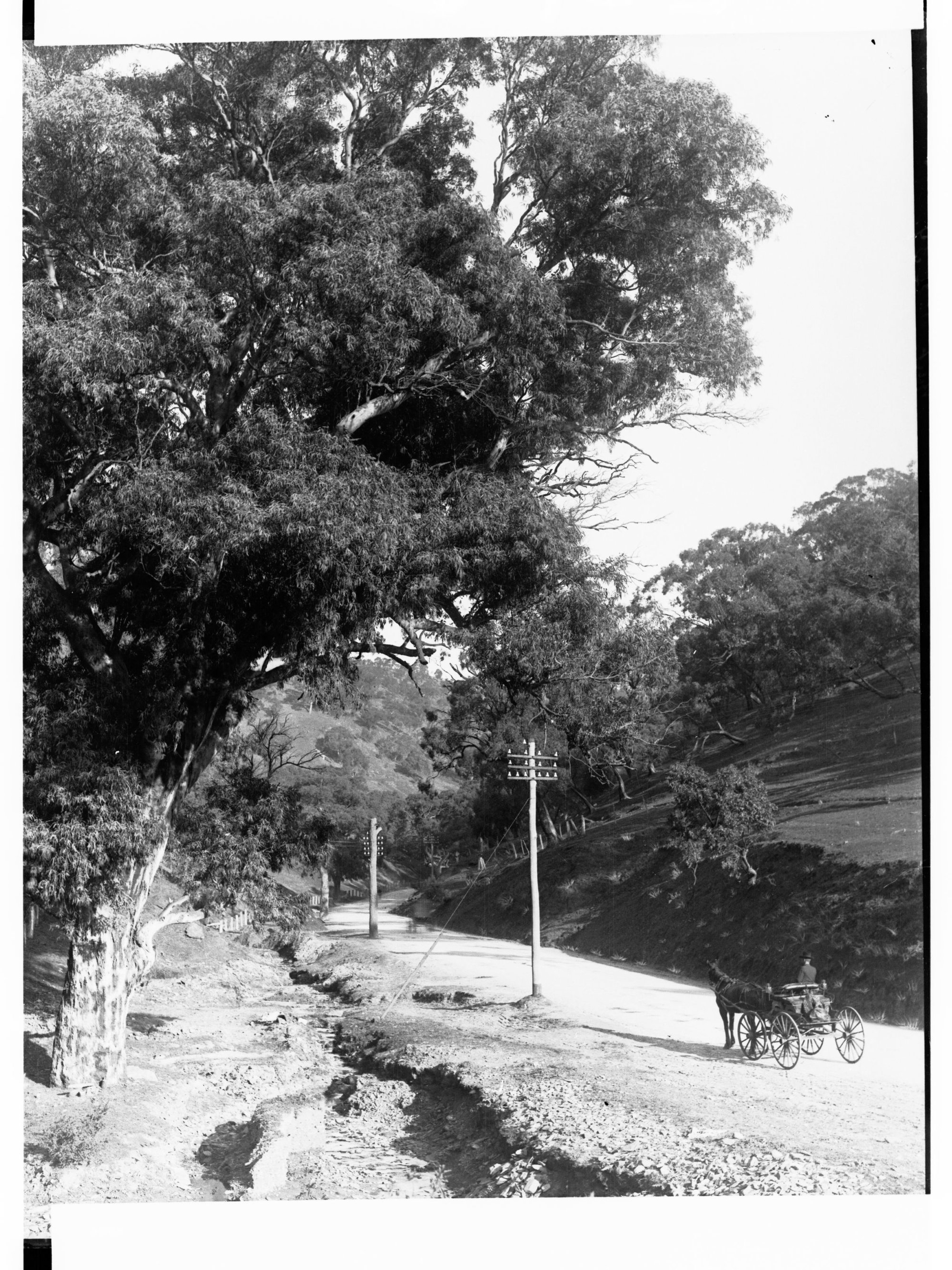 Glen Osmond Mount Barker Road Showing Horse and Buggy