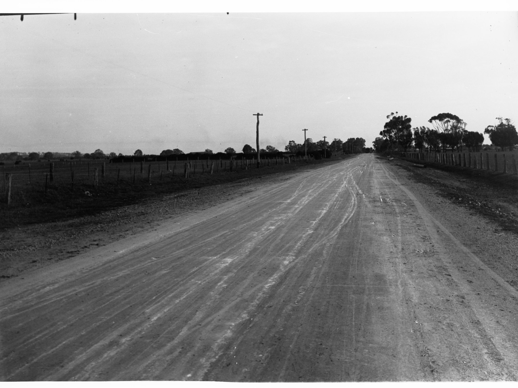 Road Showing Paddocks and Farms