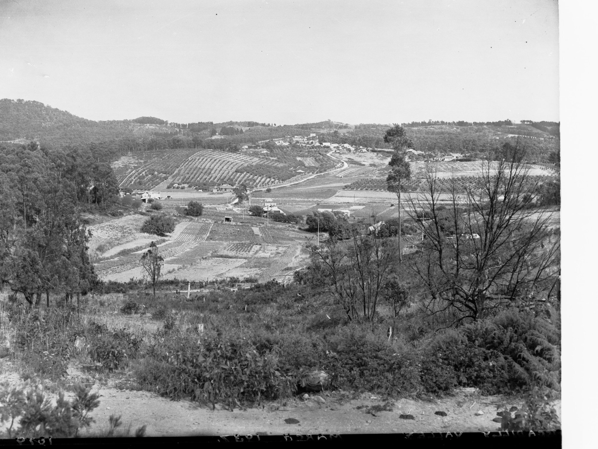 Piccadilly Valley near Uraidla, showing market gardens ans an orchard