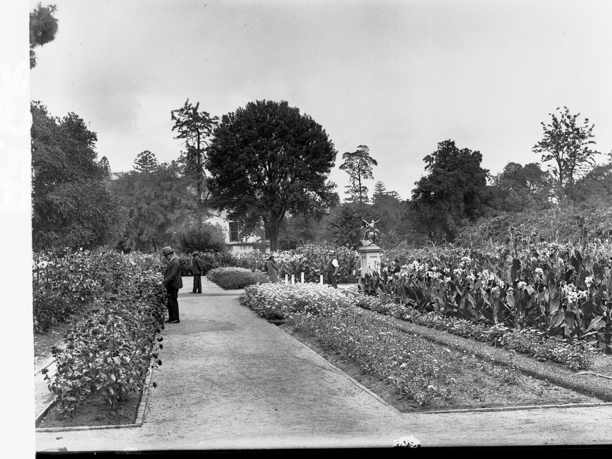 Botanic Gardens Adelaide