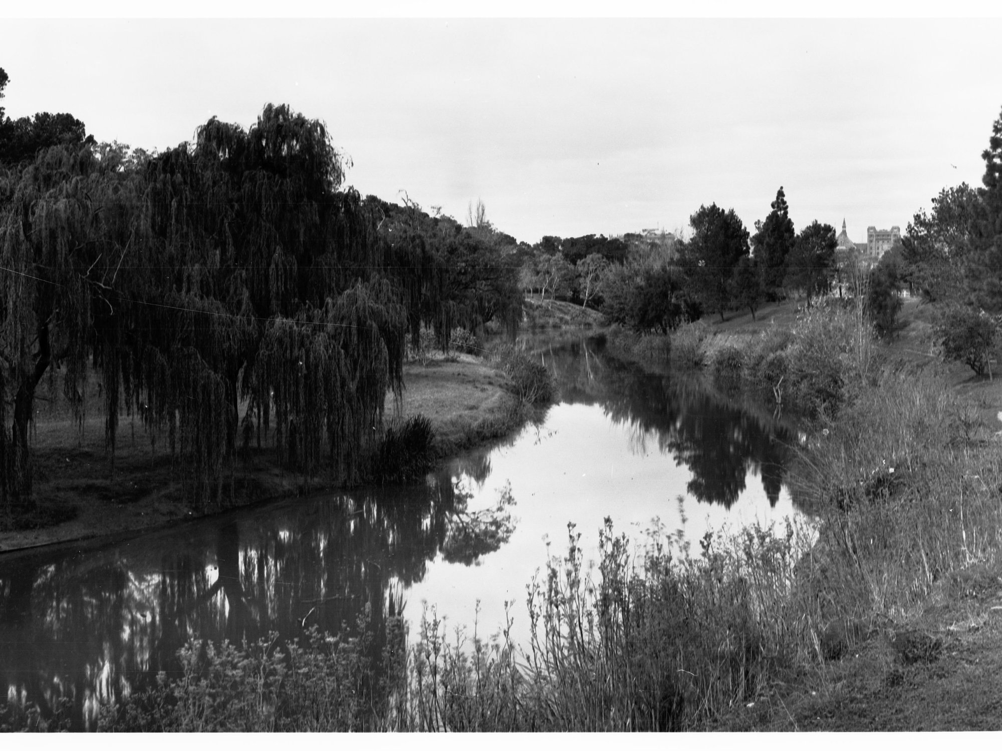 River Torrens from Albert Bridge