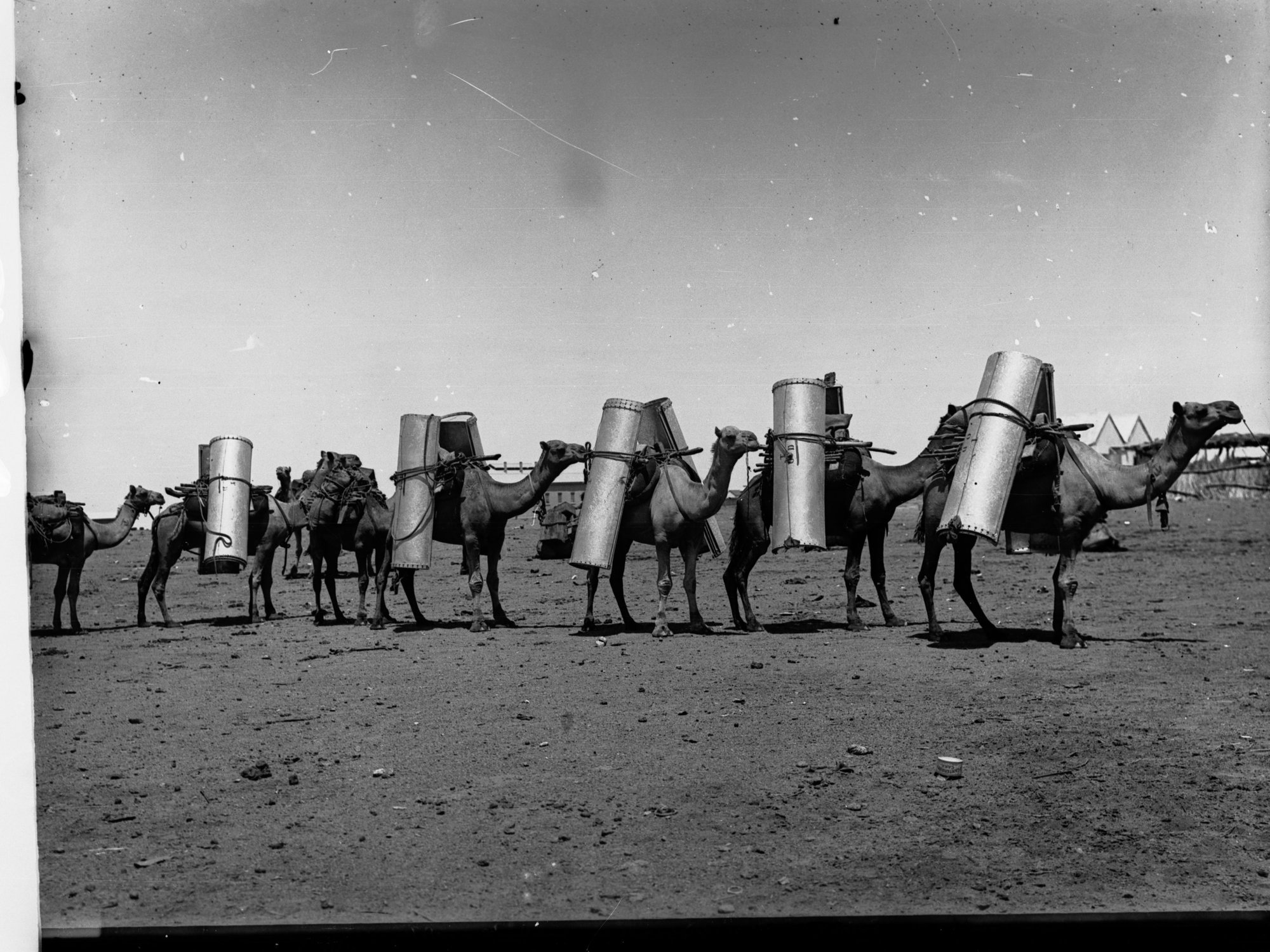 Camel Team Carting Far North