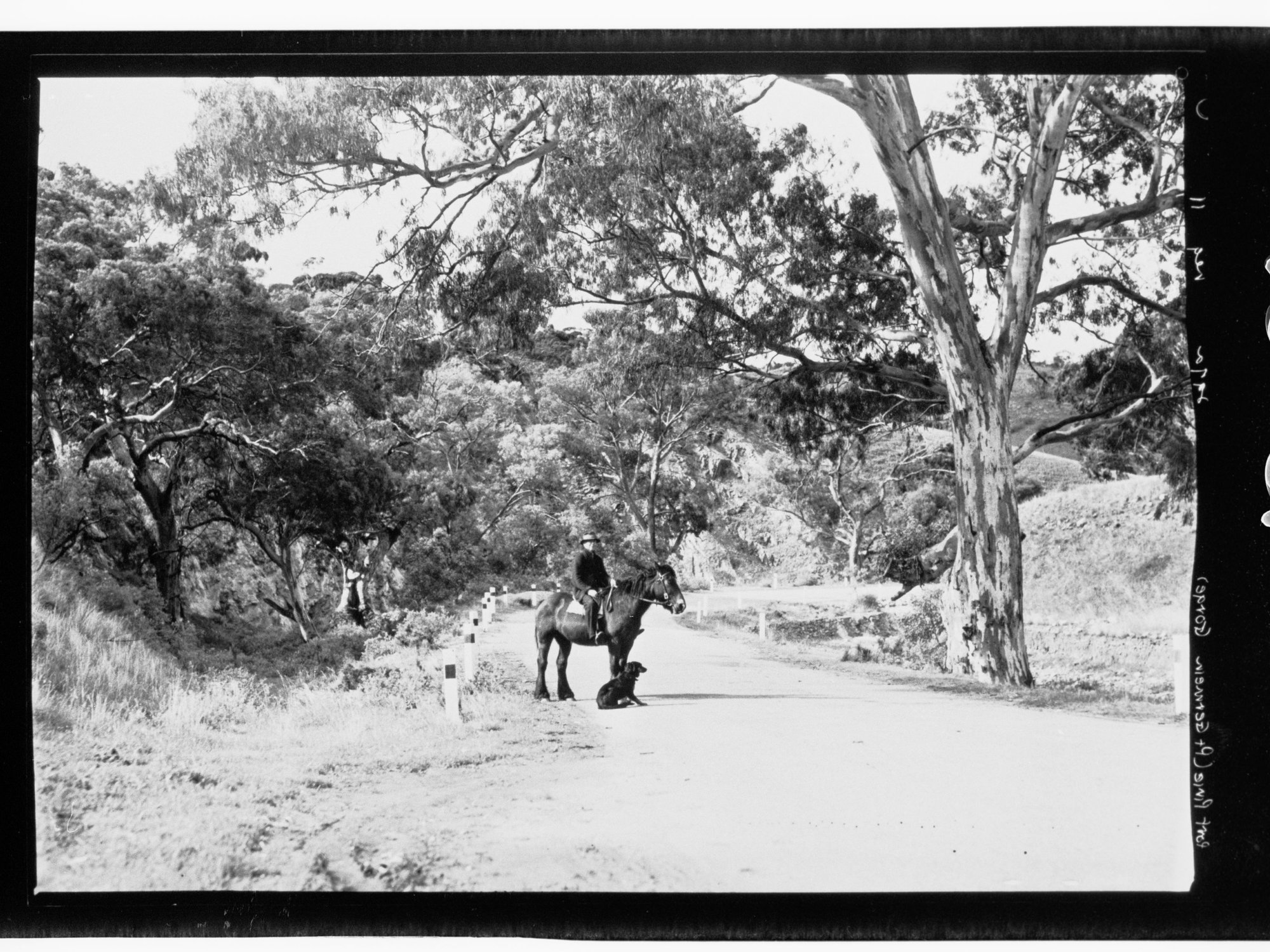 Port Pirie - Port Germein Gorge (man on horse)