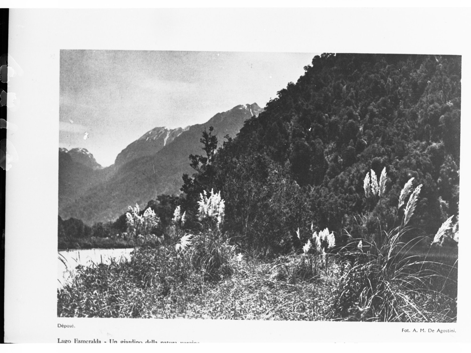 Scenic View in South America