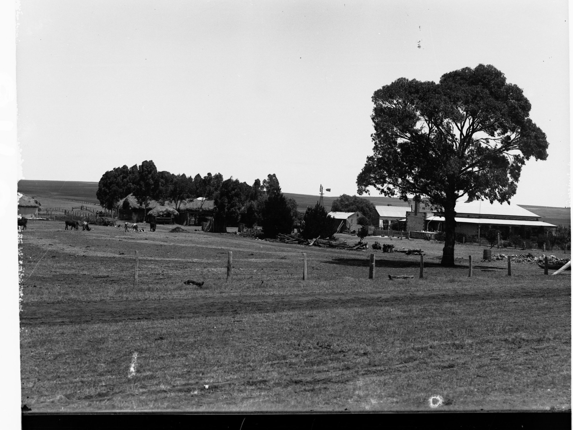 Turretfield Farm House