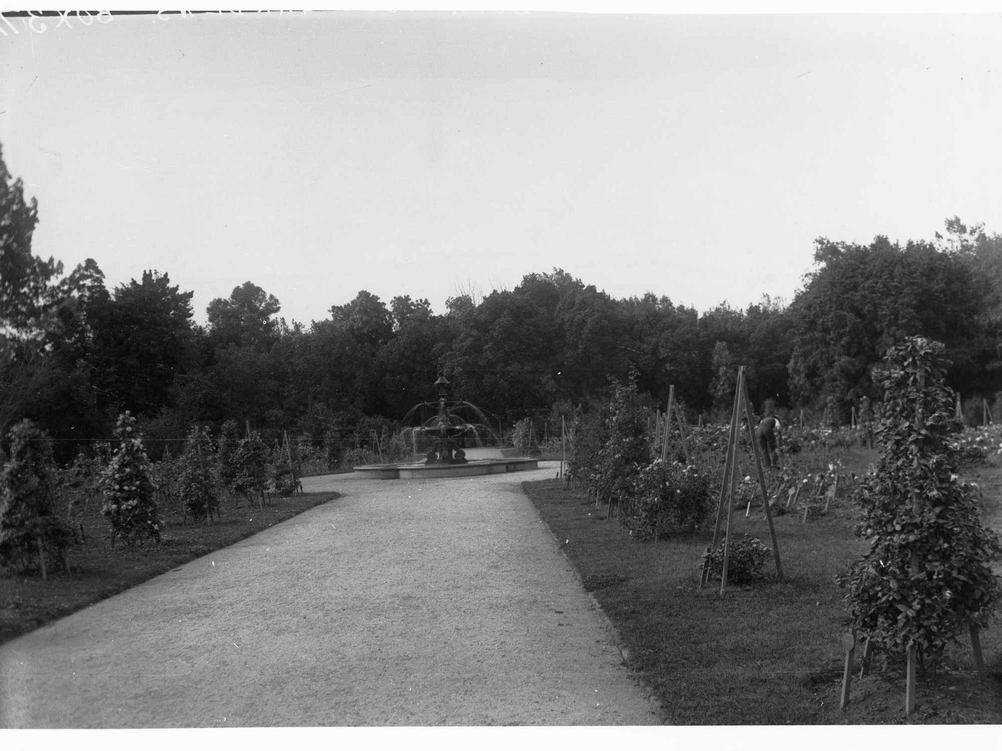 Botanic Gardens Fountain
