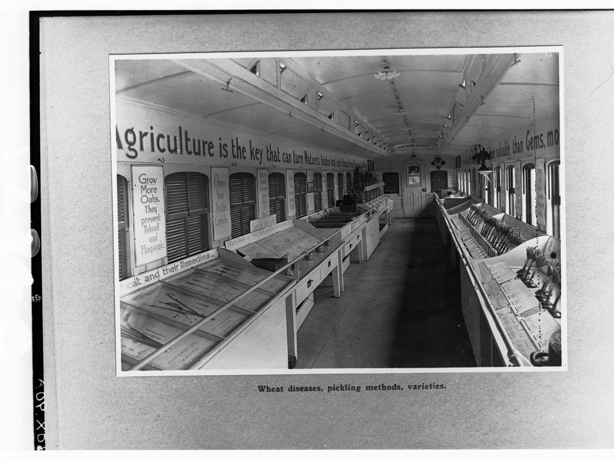 "Victorian Better Farming Train"  Interior of train - Wheat diseases, pickling methods, varieties - copied for Agricultural Department