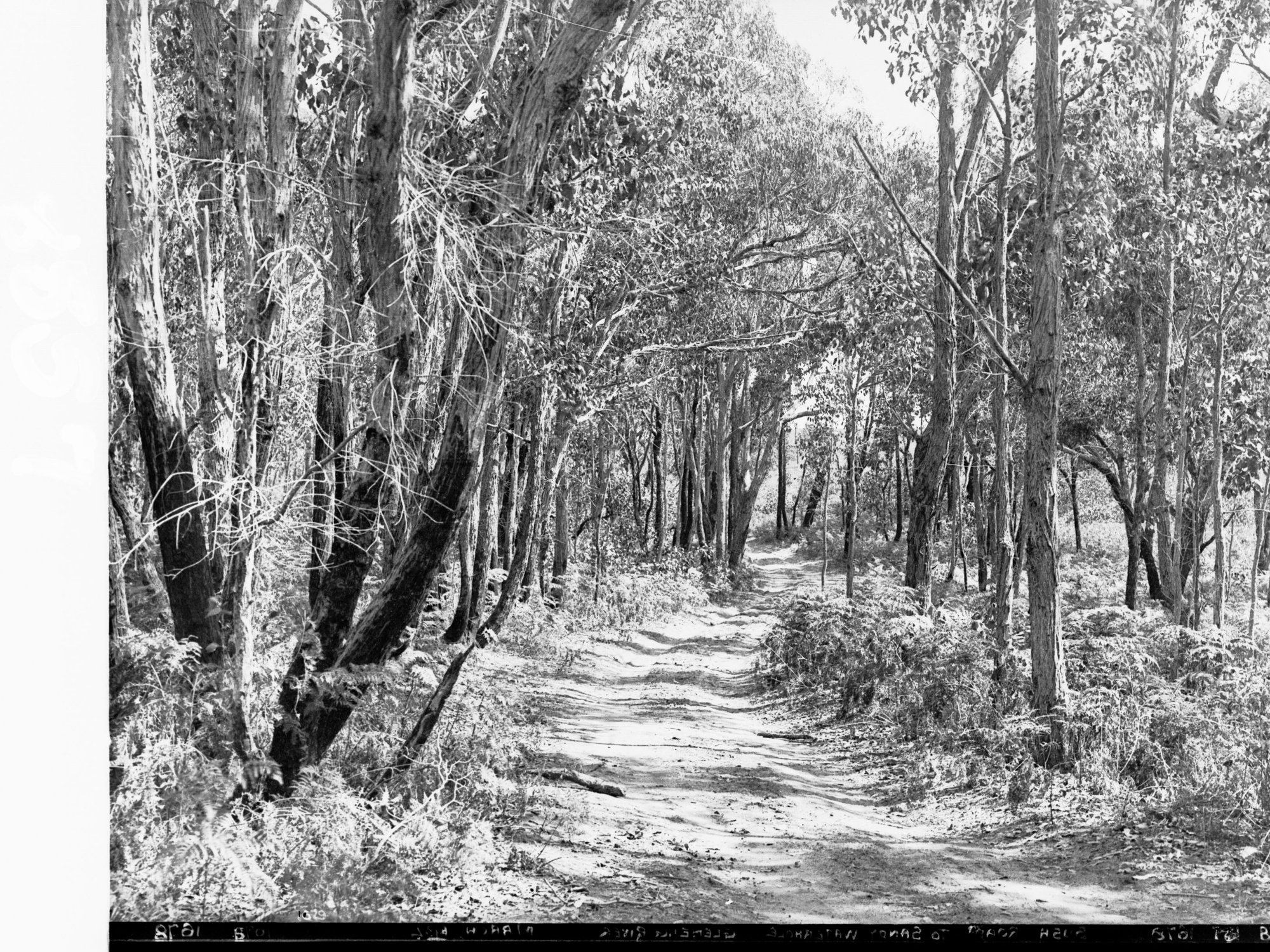 Bush Road to Sandy Waterhole Glenelg River