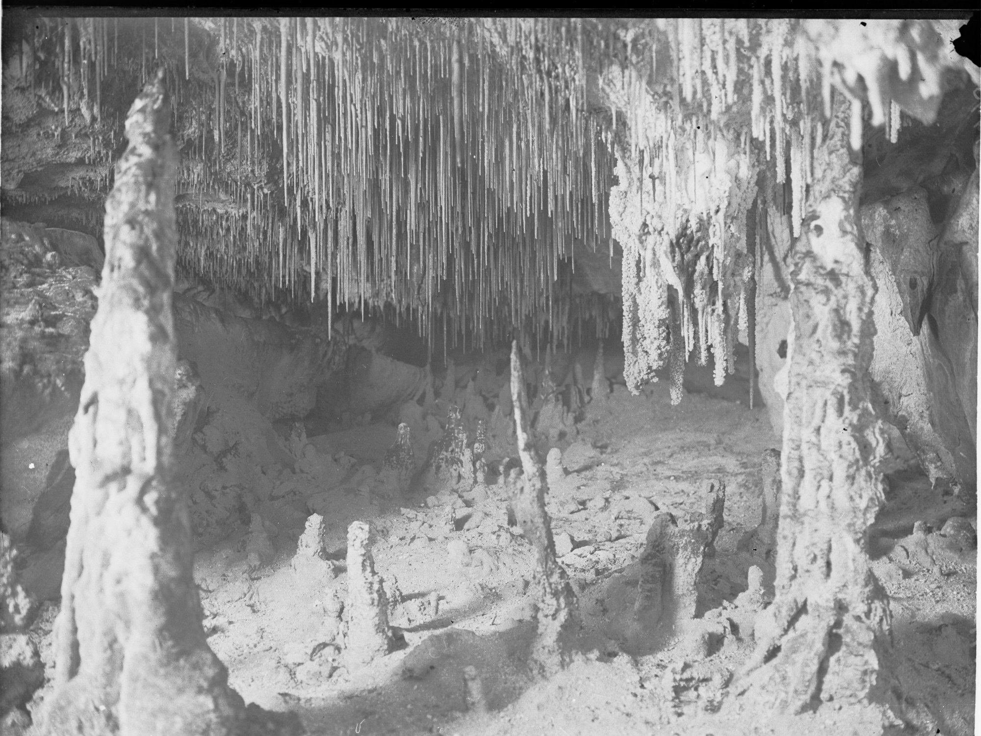 Stalactites and Stalagmites Caves Naracoorte