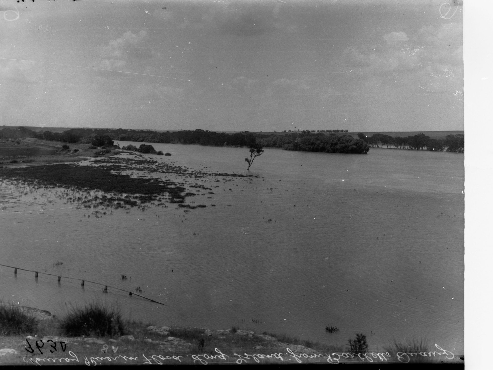 River Murray in flood, Long Island from Bartlett's Quarry