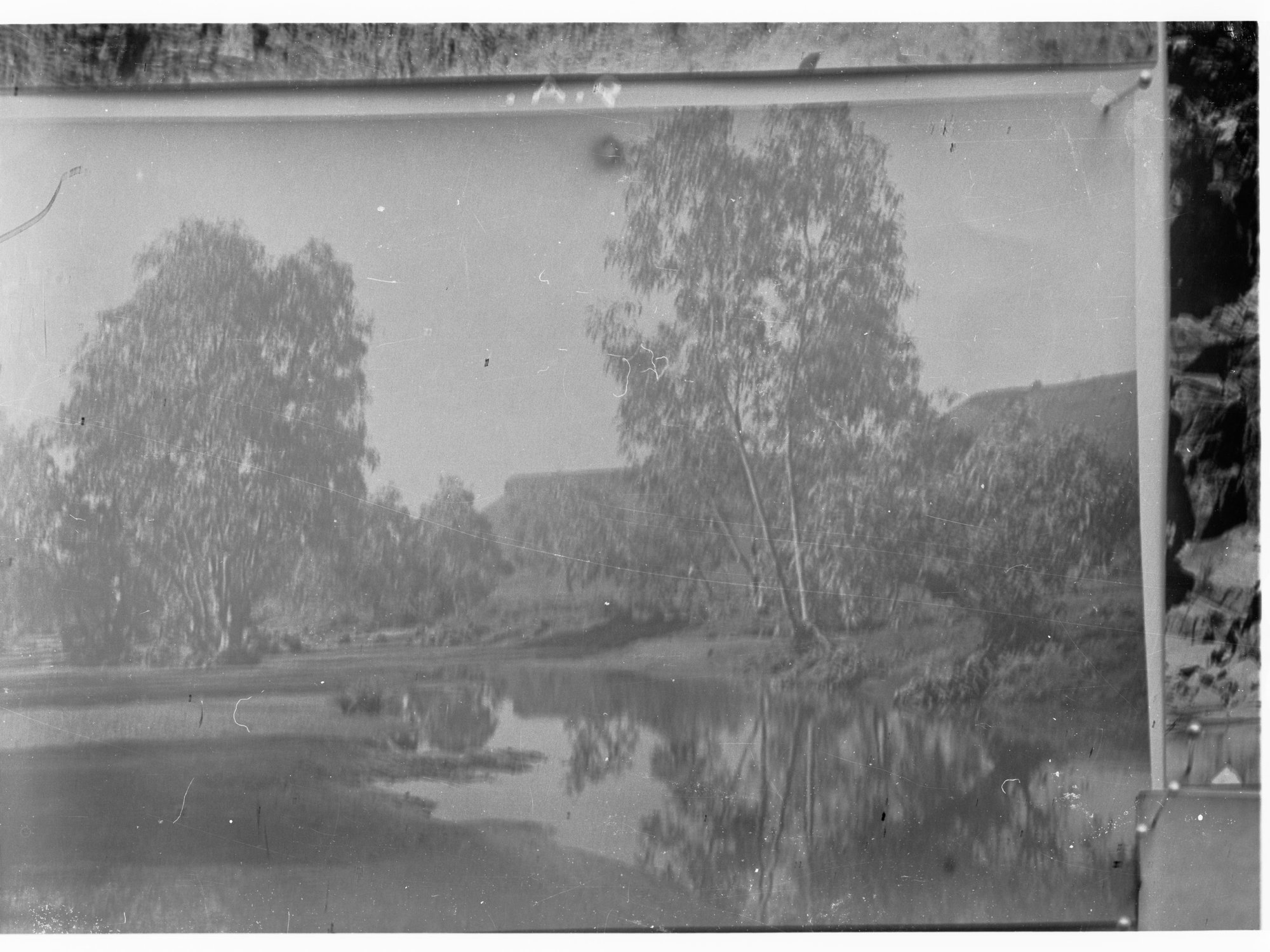 Northern Territory - scene of water and trees
