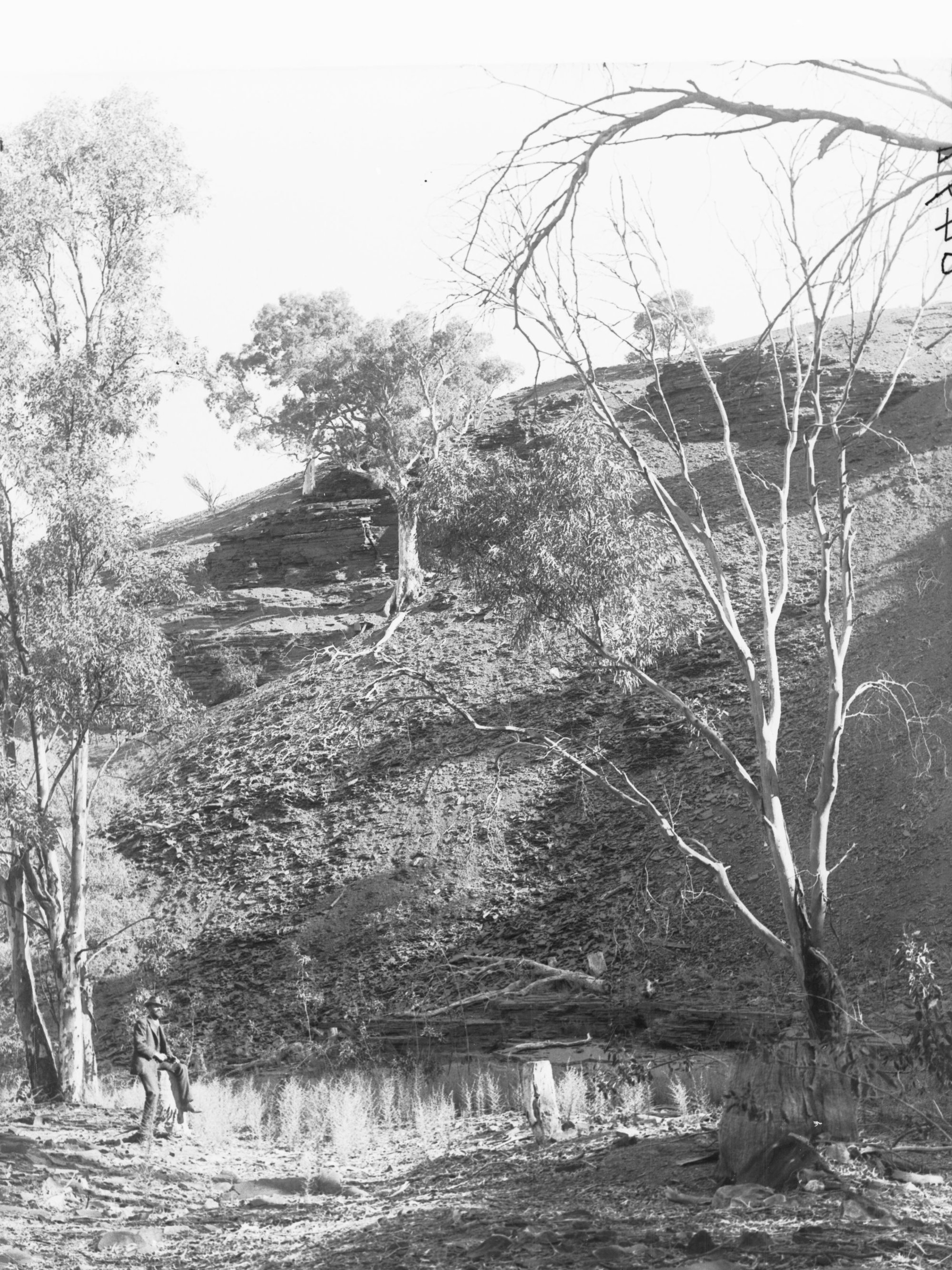 Moutain at Moolooloo