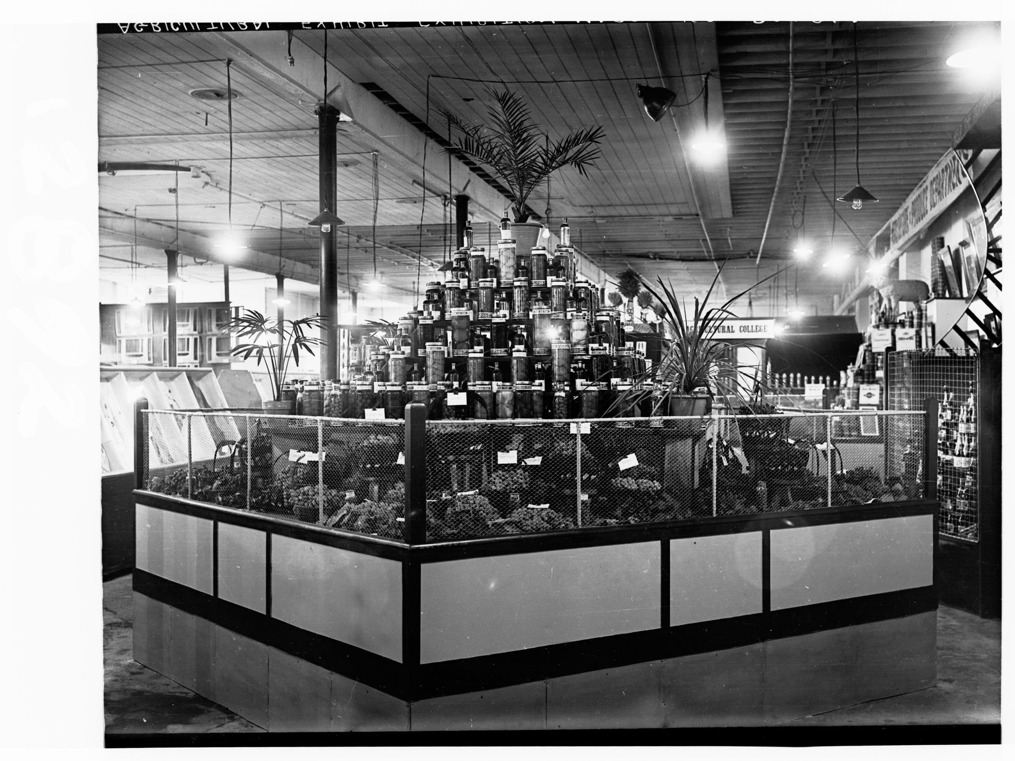 Agricultural Exhibition, preserved fruit display