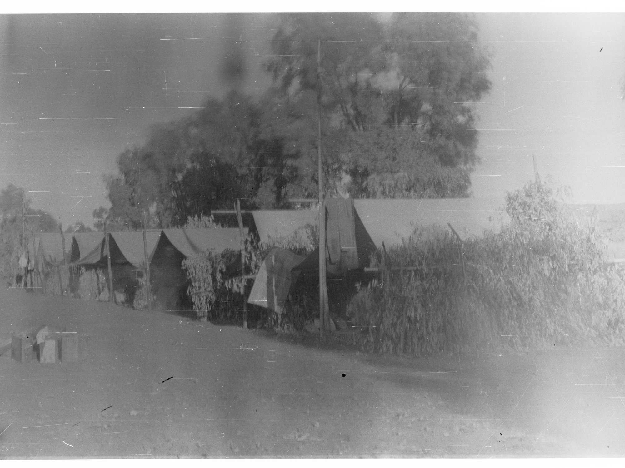 Crops covered by tents - probably to protect tomato plants from sun