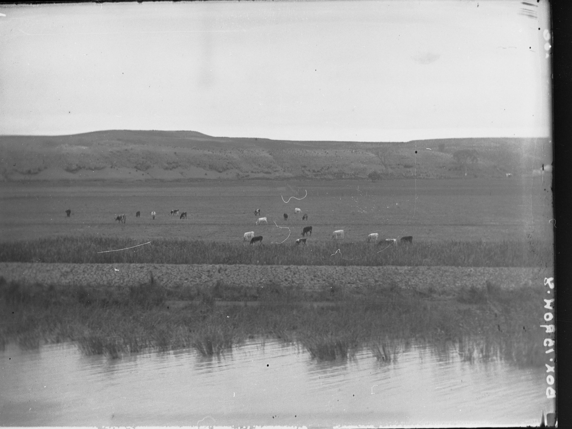 Premier Vaughan's visit to Murray River 