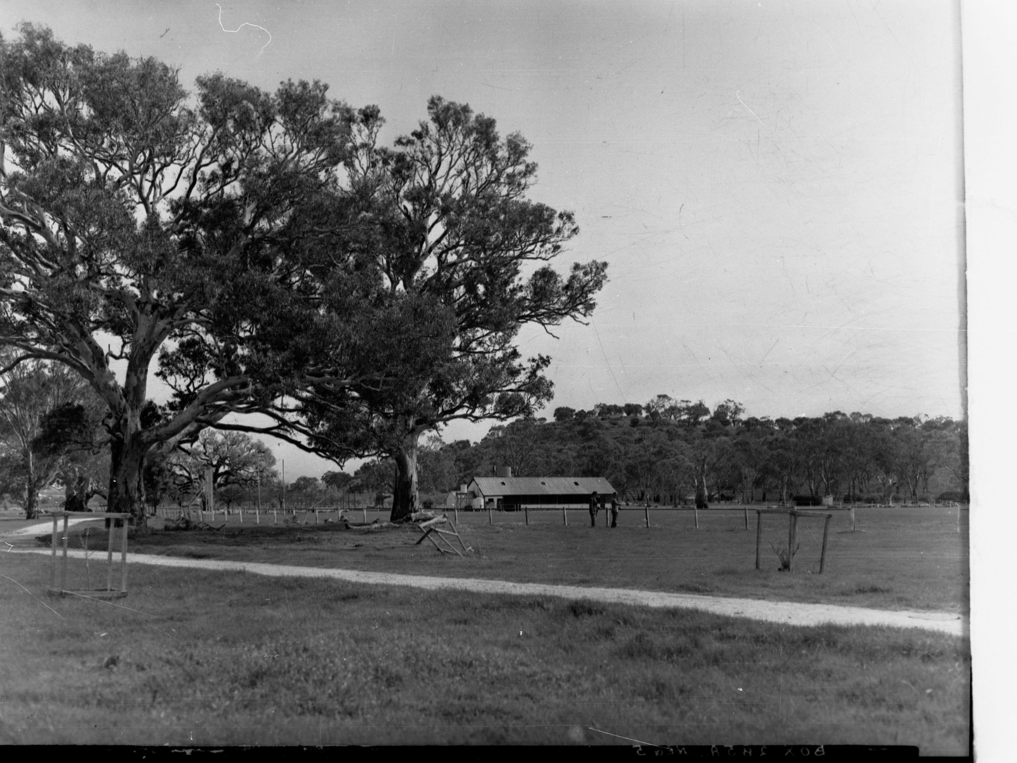 Oval at McLaren Vale