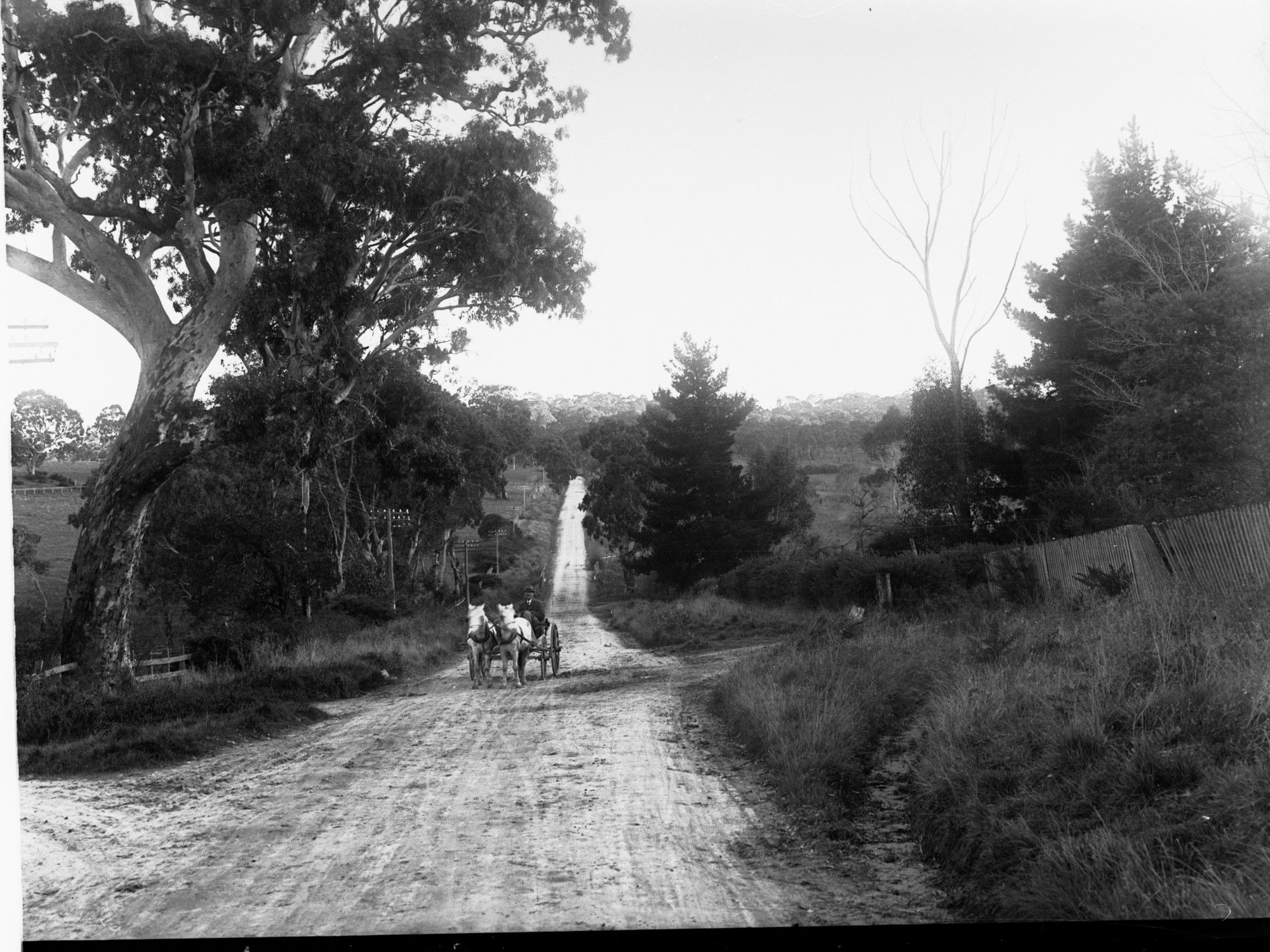 Mount Barker Showing a Road With a Horse and Cart