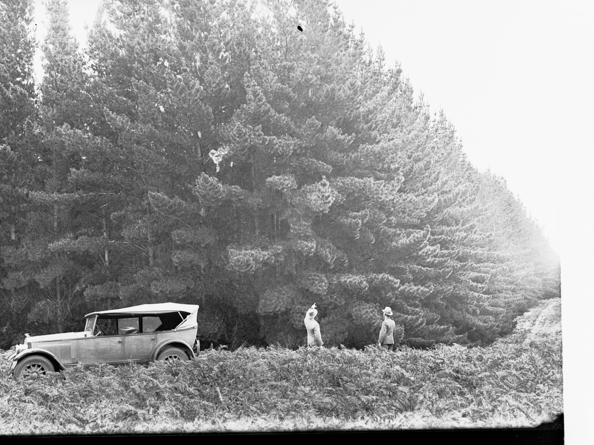 Mount Burr Forest Showing Automobile and Two Men in Front Pointing Upwards