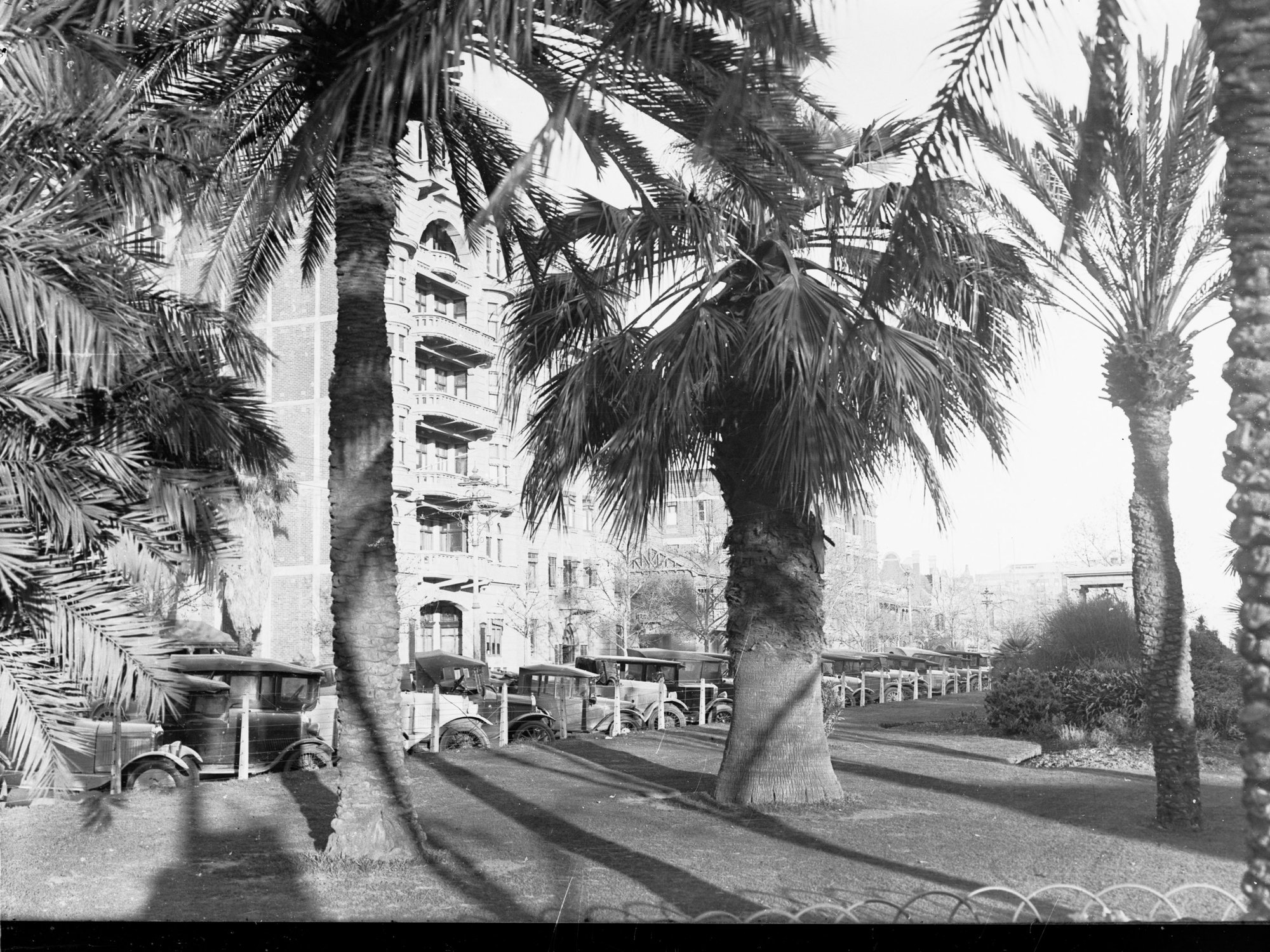 View of North Terrace from Garden