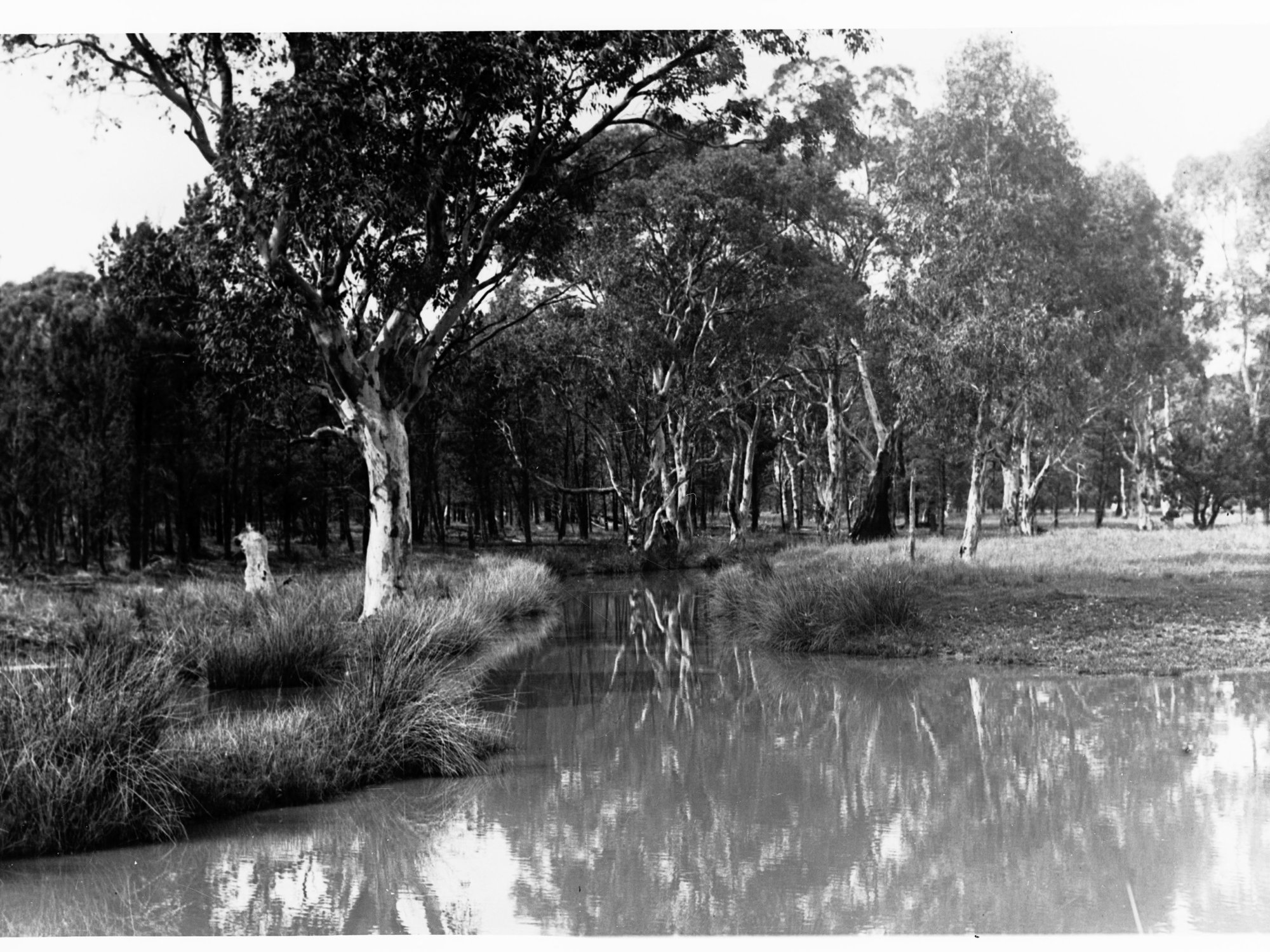 Lagoon at Mount Yerila