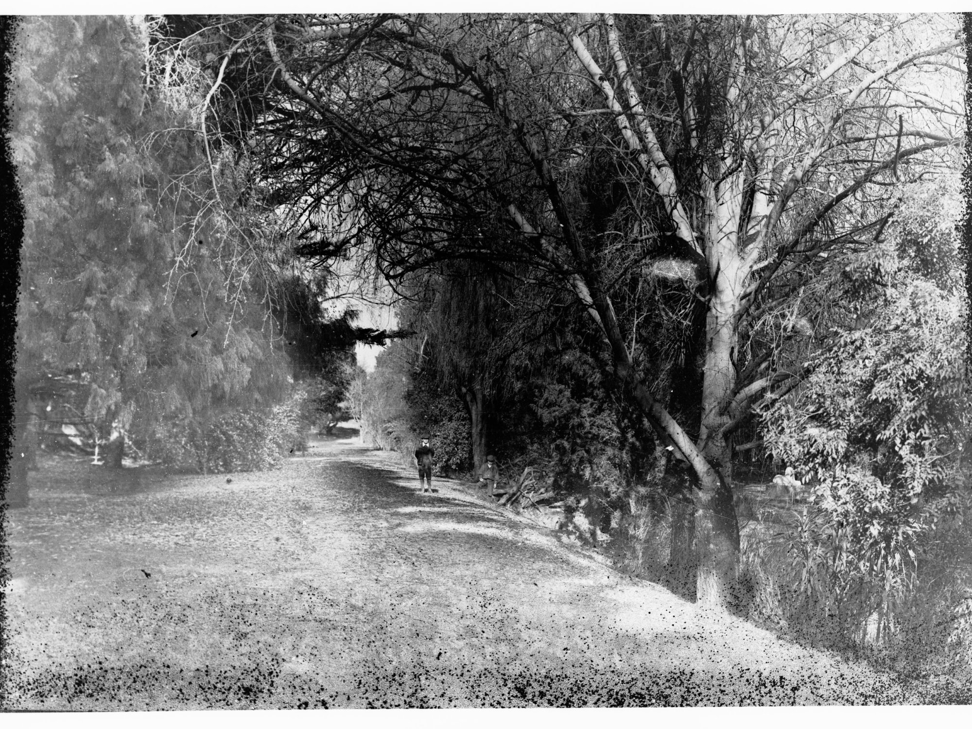 Two boys standing on the bank of a creek