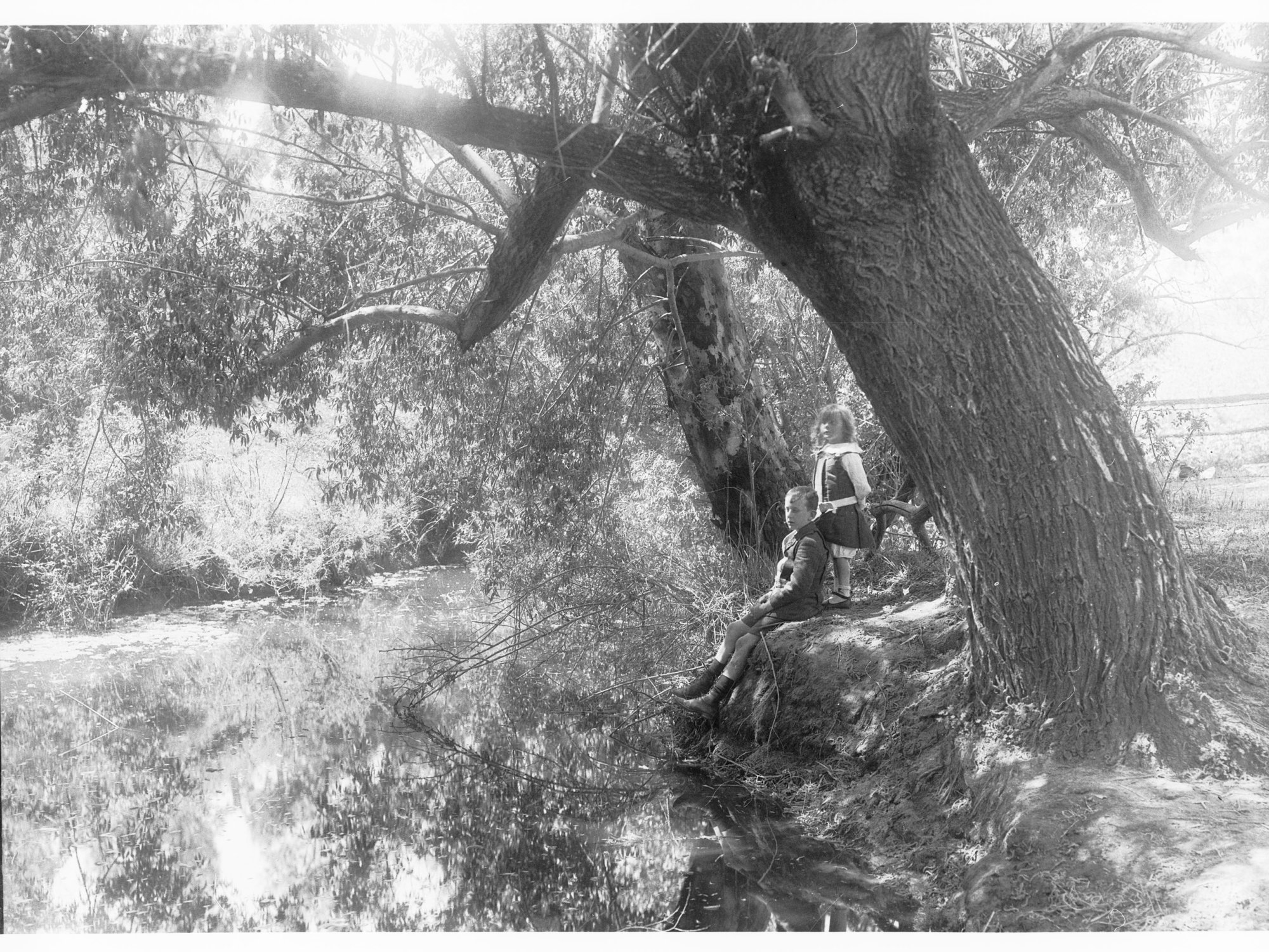 Girl and boy in park (Mount Lofty Ranges)