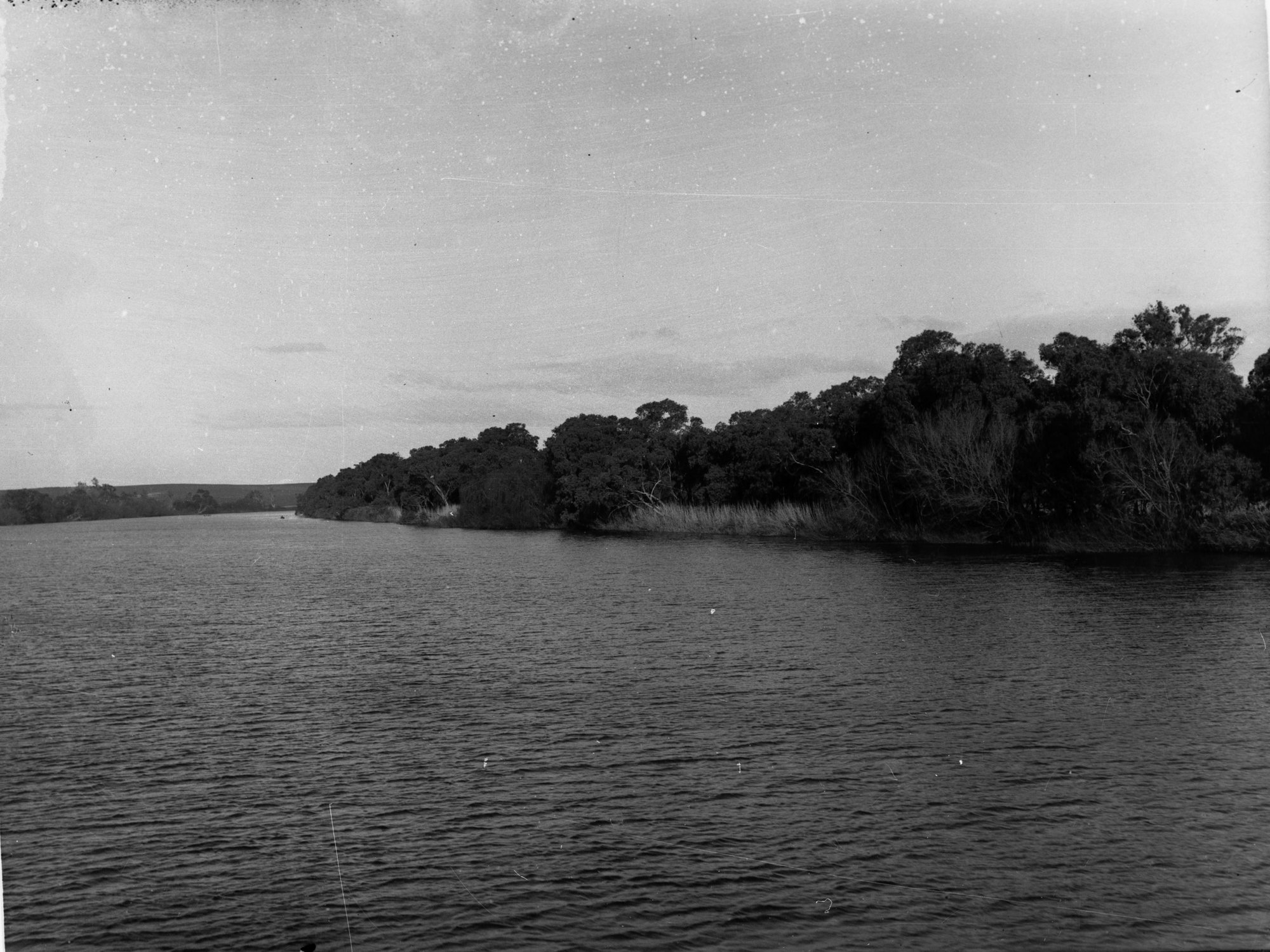 Long Island on River Murray