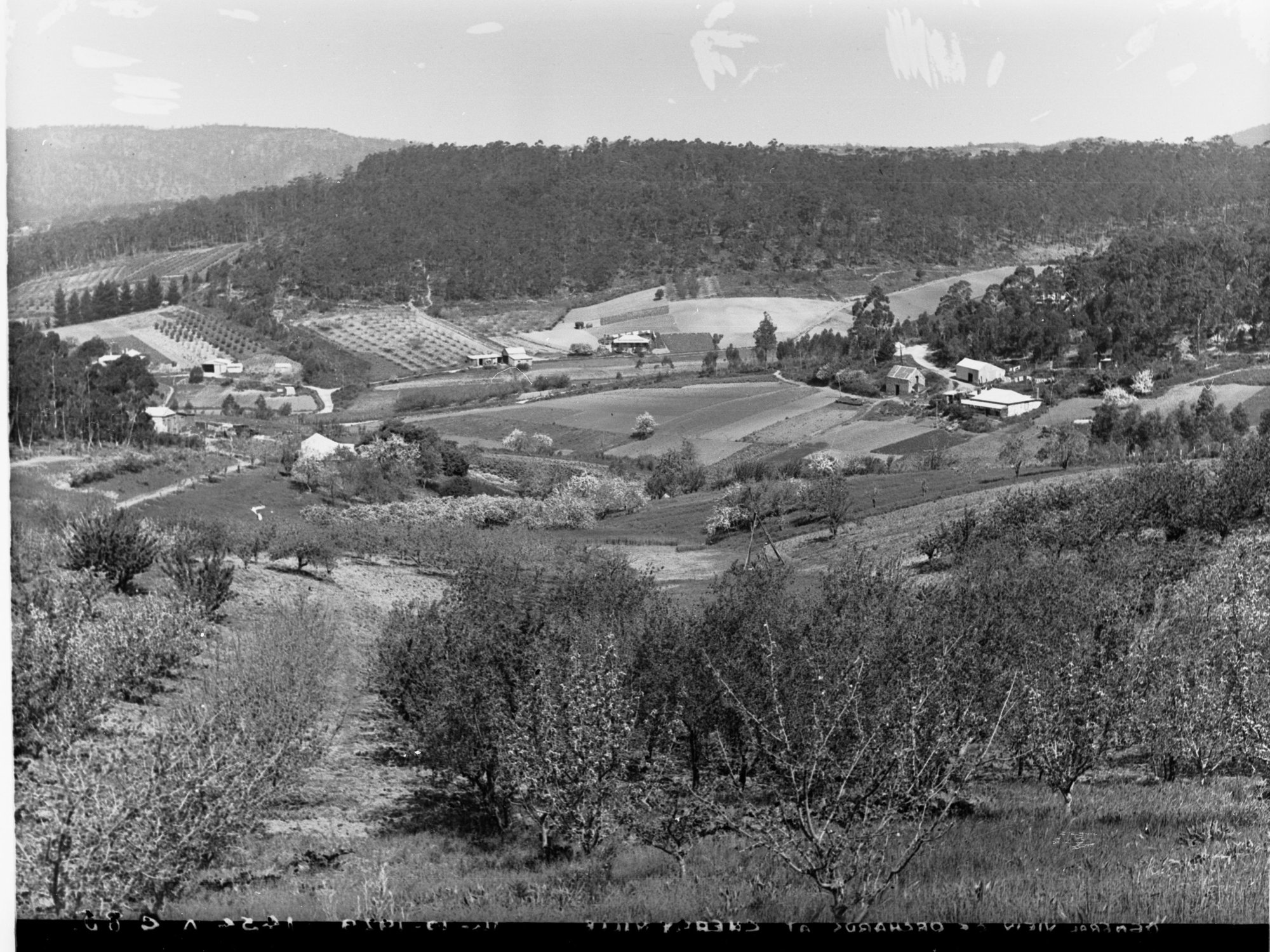 Orchards at Pound Road, Ashton