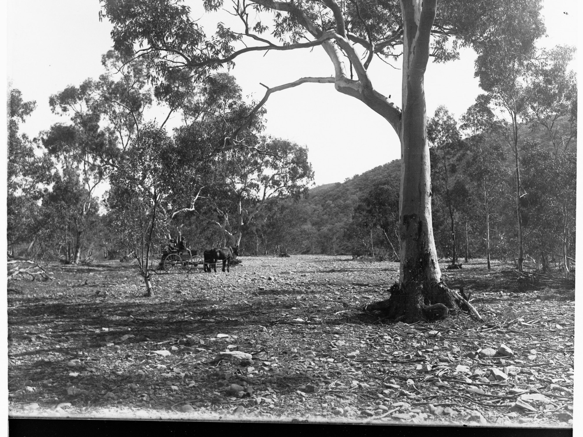 Flinders Ranges Windy Creek near Leigh Creek