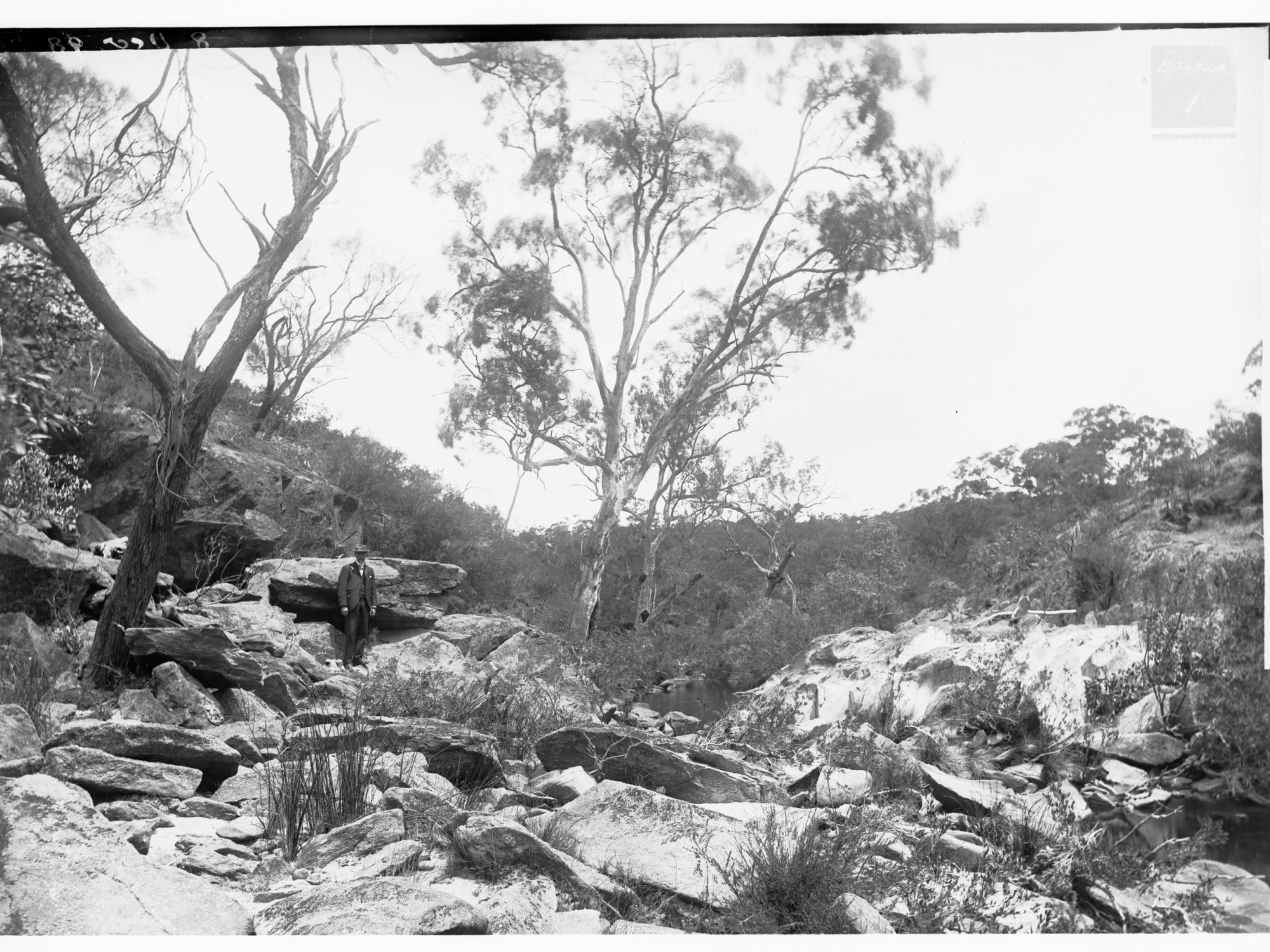 Proposed site of main dam, Yettie Creek - Barossa Waterworks