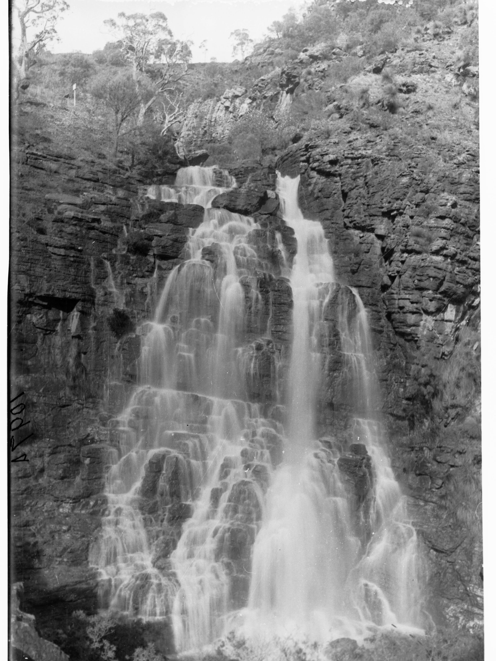 Morialta Falls, Morialta Reserve