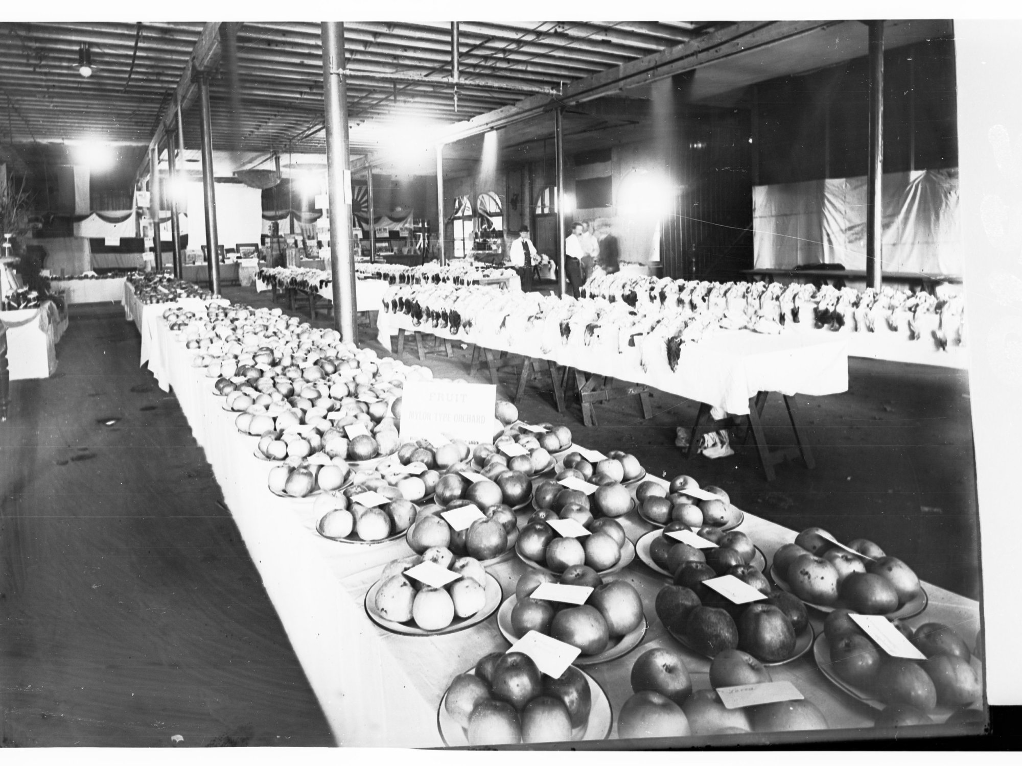 Agricultural Show Poultry and Fruit