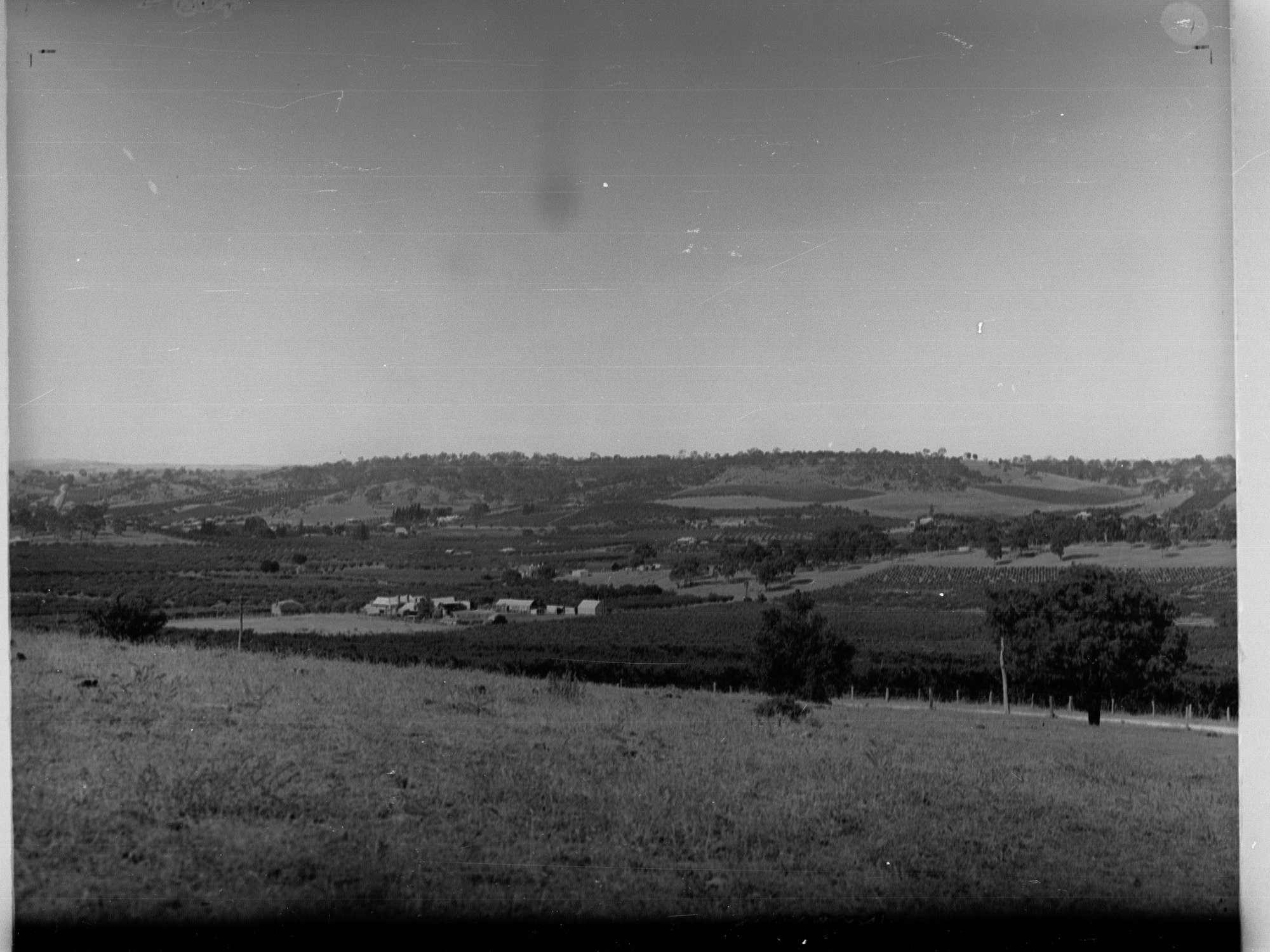 Angaston View from Vineyards