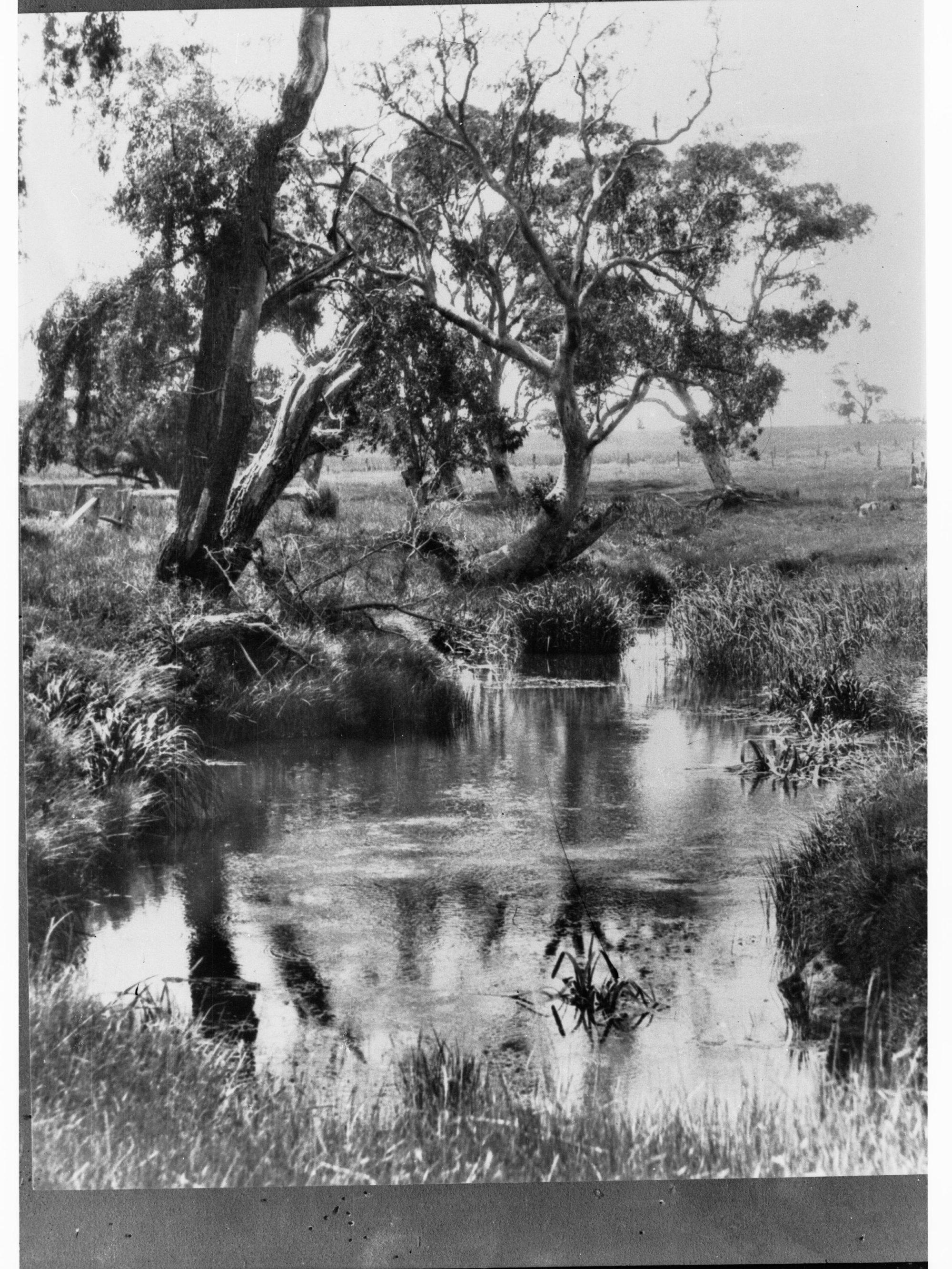Rural view showing small creek