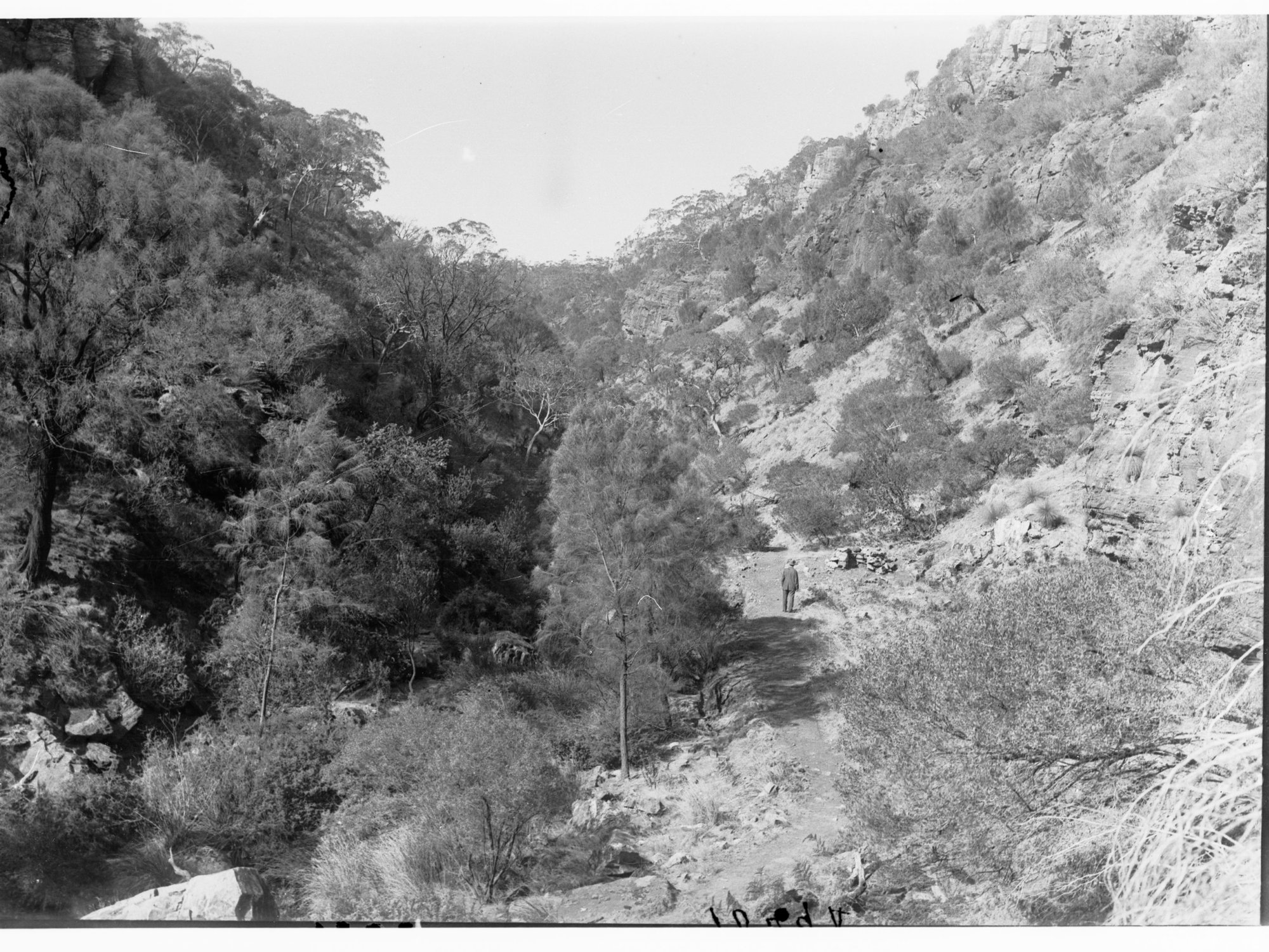 Morialta Falls