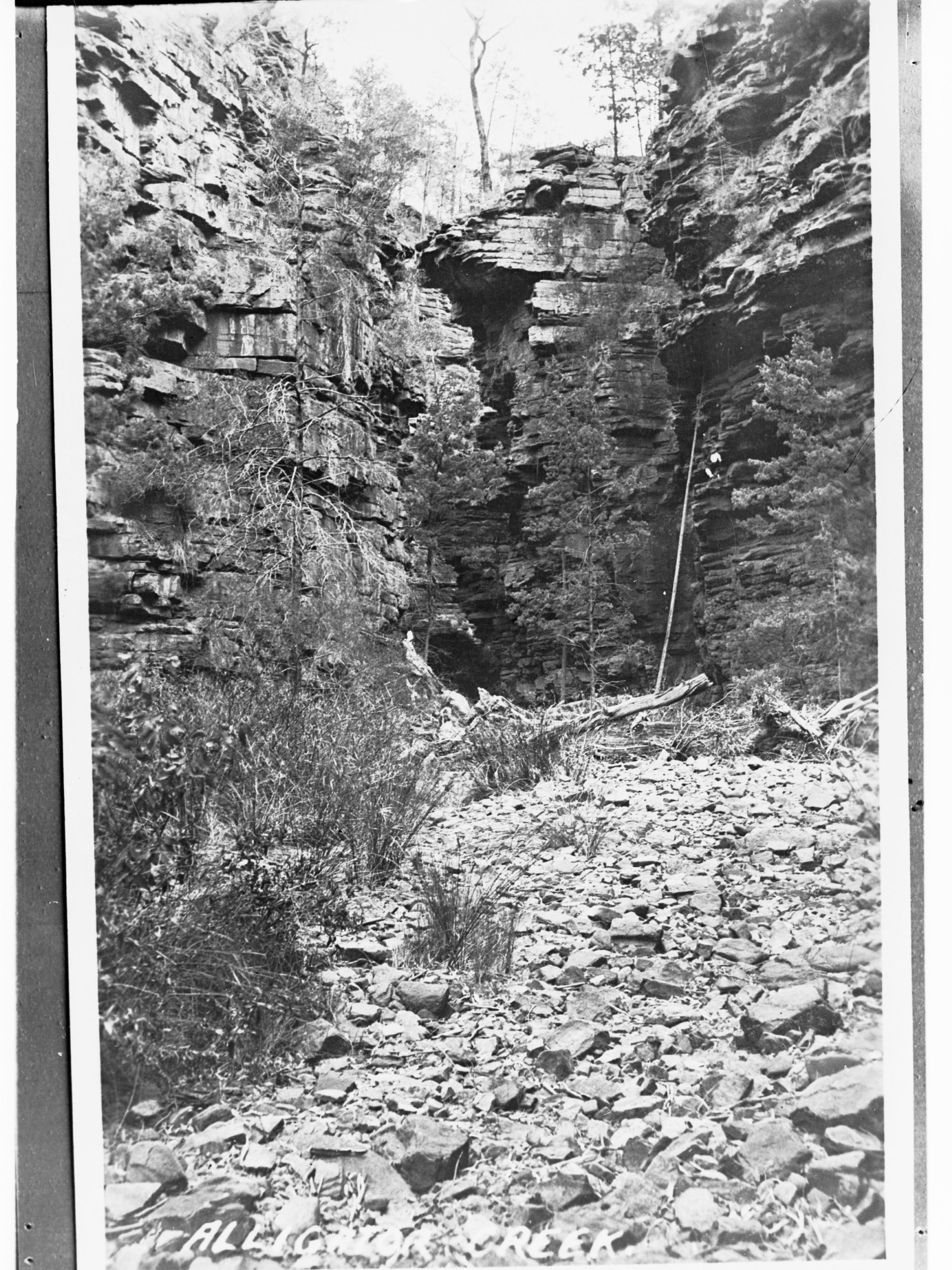 Alligator Creek (Alligator Gorge), Flinders Ranges
