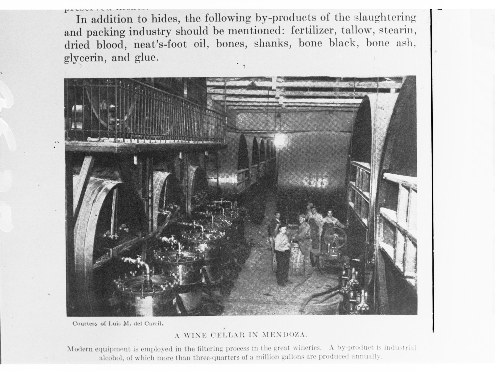 Wine Cellar in Mendoza