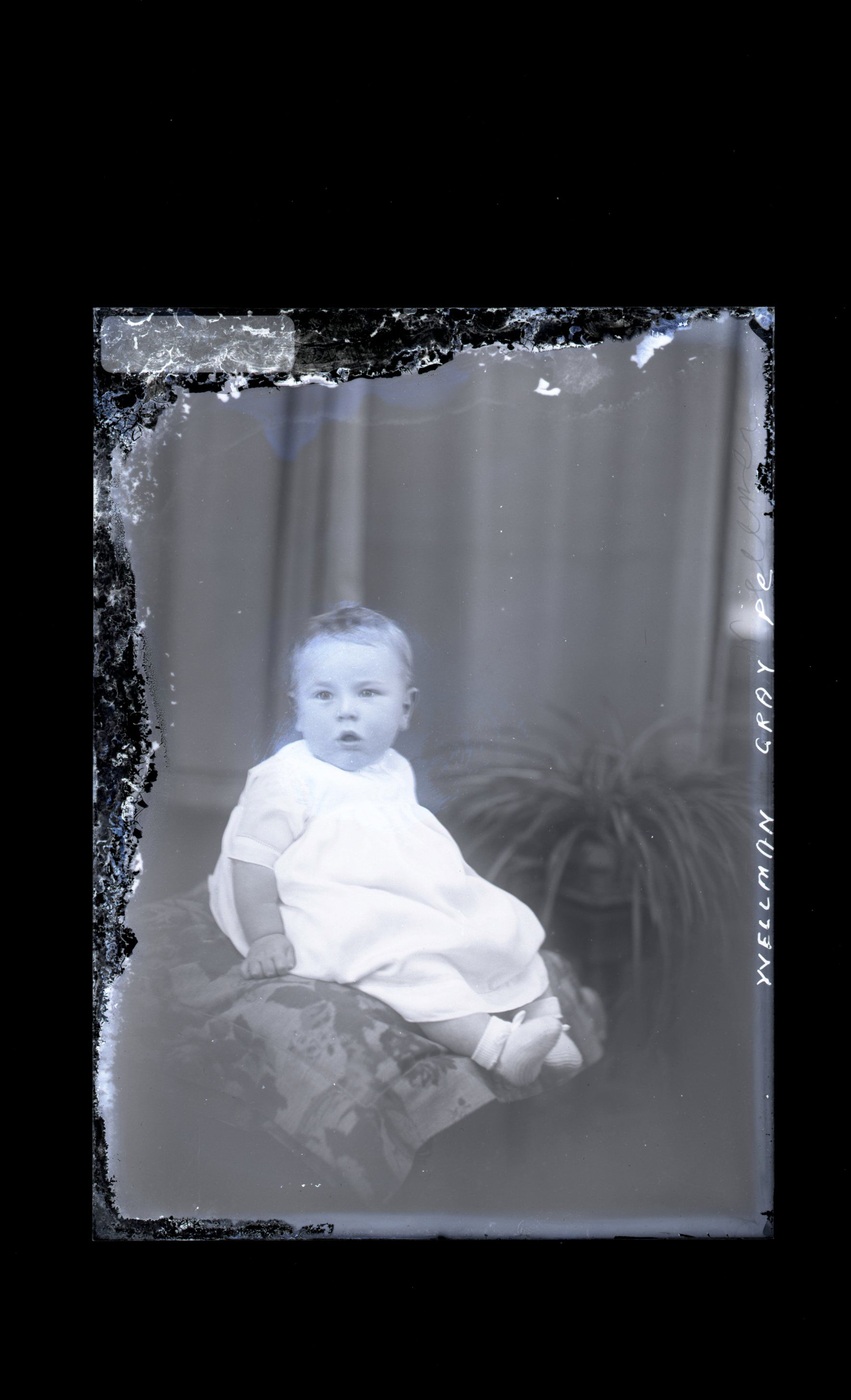 Infant - Wellman
