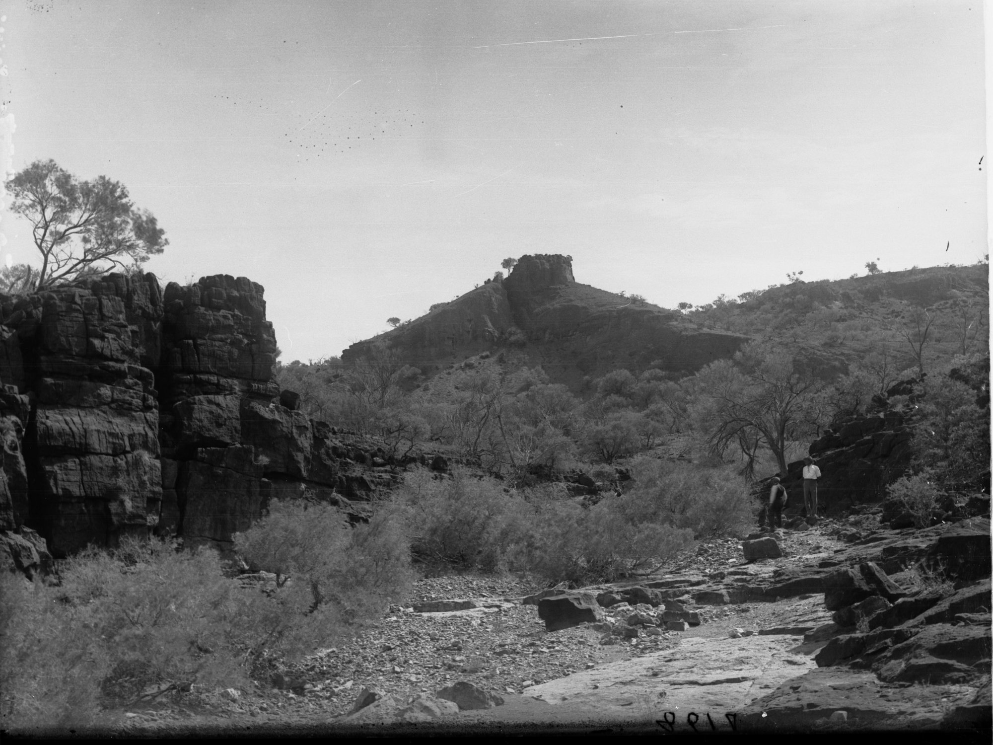Wertaloona Gorge, Flinders Ranges