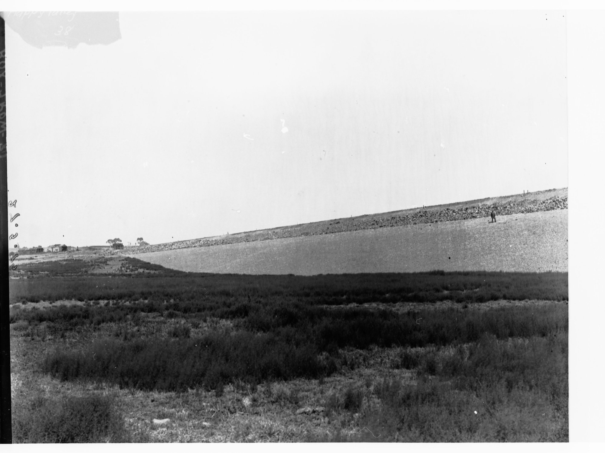 Happy Valley Reservoir