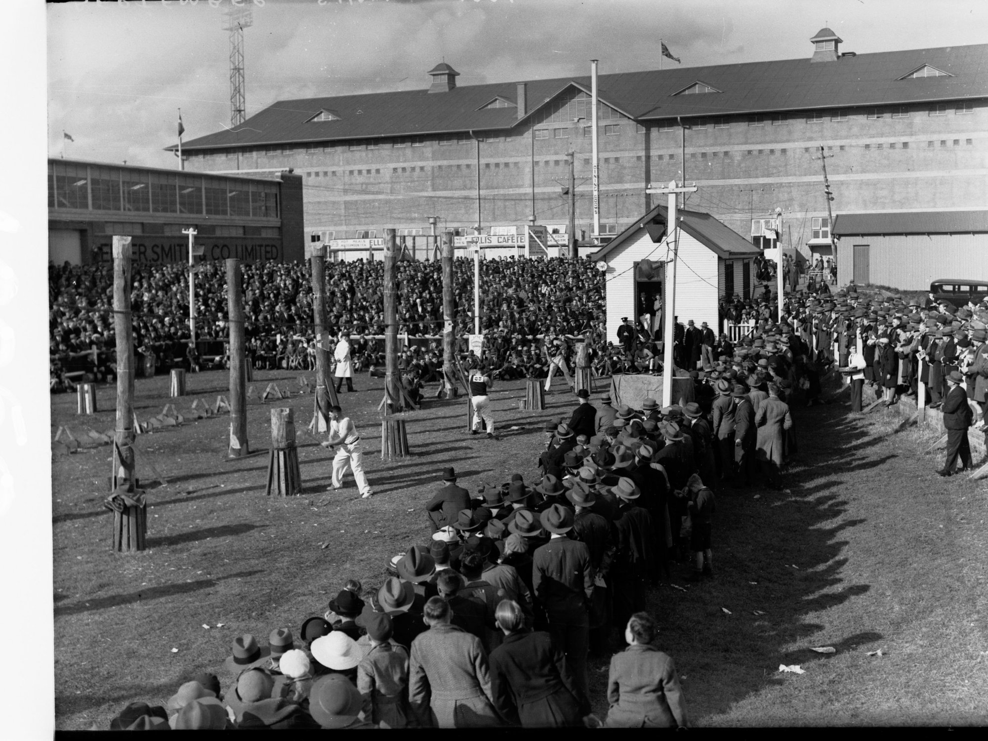 Woodchopping Competition 